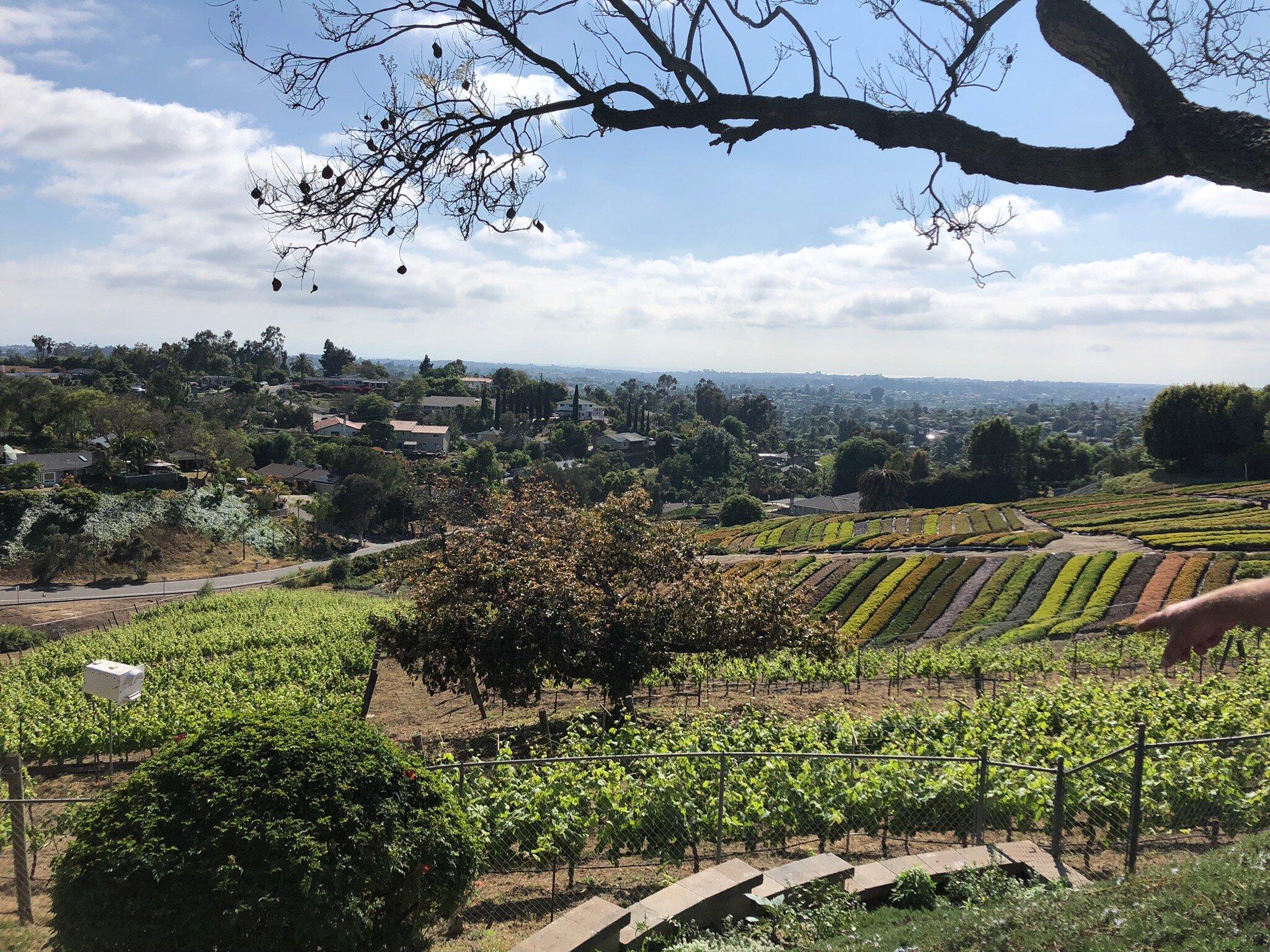 Brooking Vineyards LLC