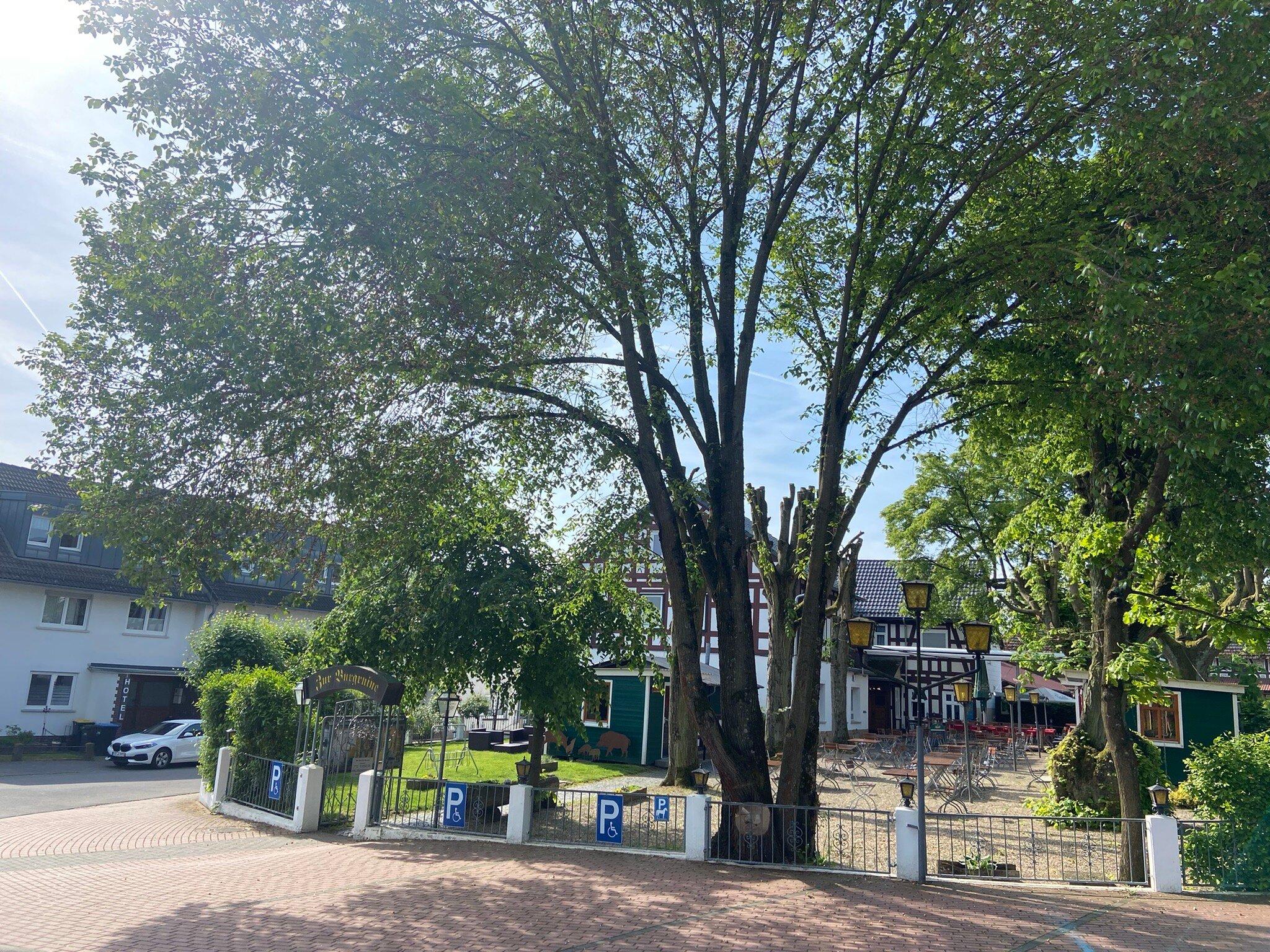 Zur Burgruine Frauenberg