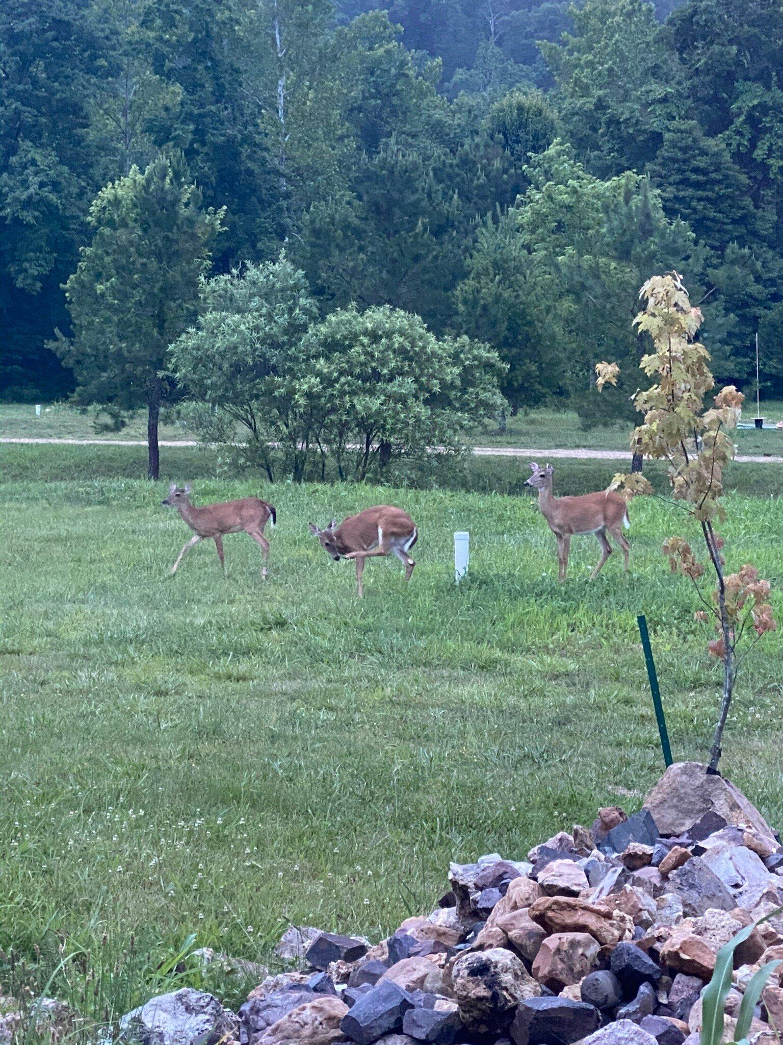 Photo by 701beverlyb