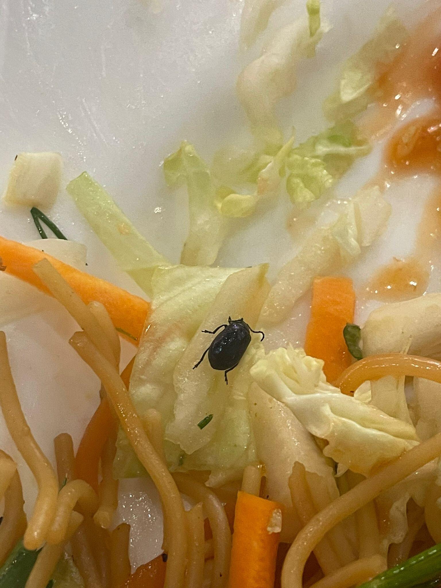 Photo by W4842GGronalds_