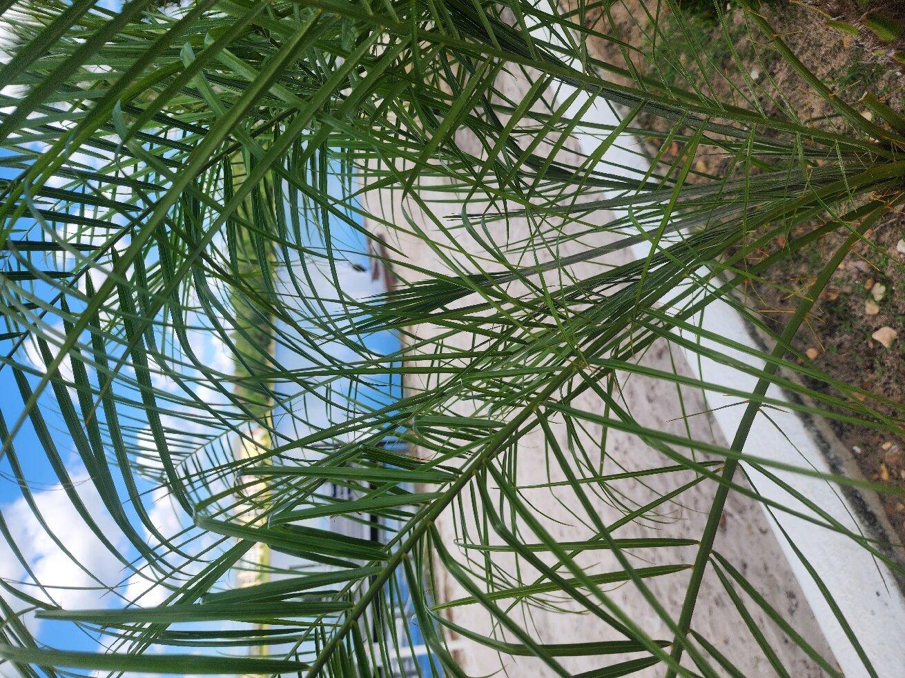 601 The Reserve By Exploria Resorts