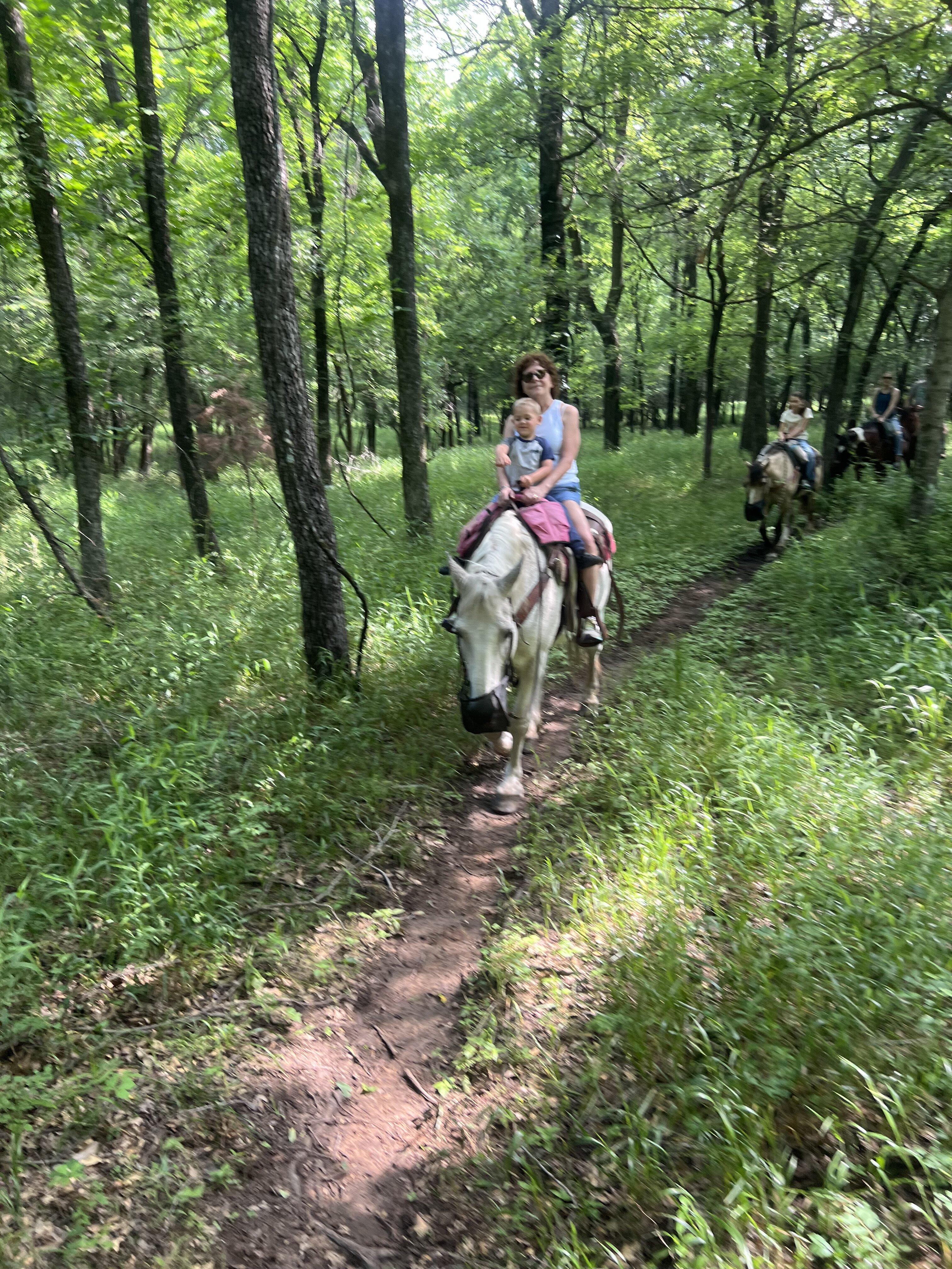 Sequoyah Riding Stables