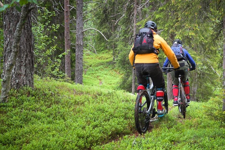 Biking: The Waffle Tour (vaffelrunden)