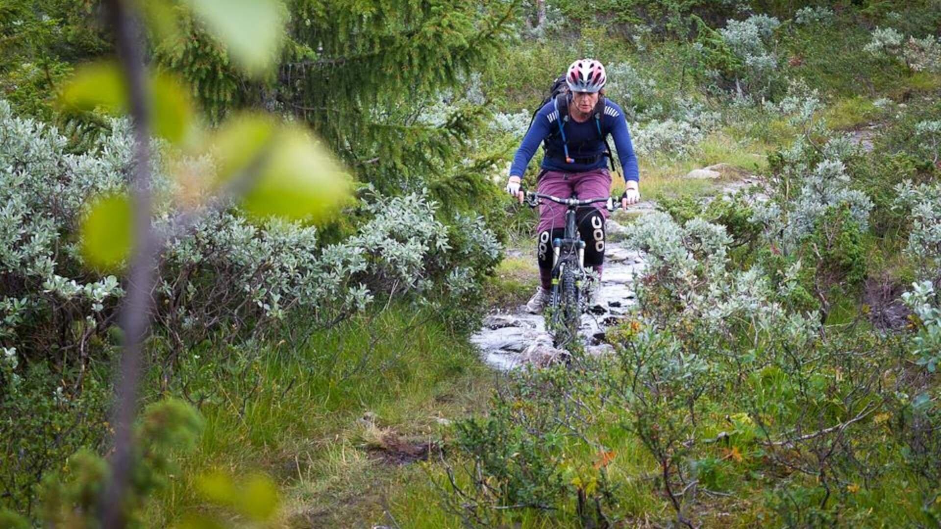 Round trip of Einarset