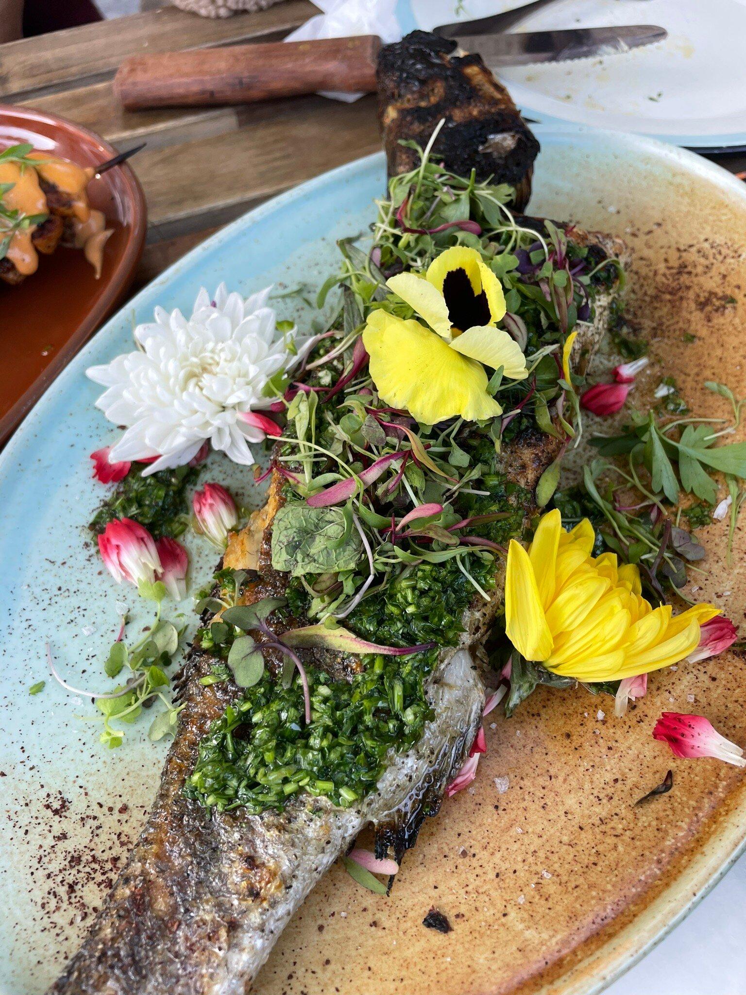 Photo by shanellesua