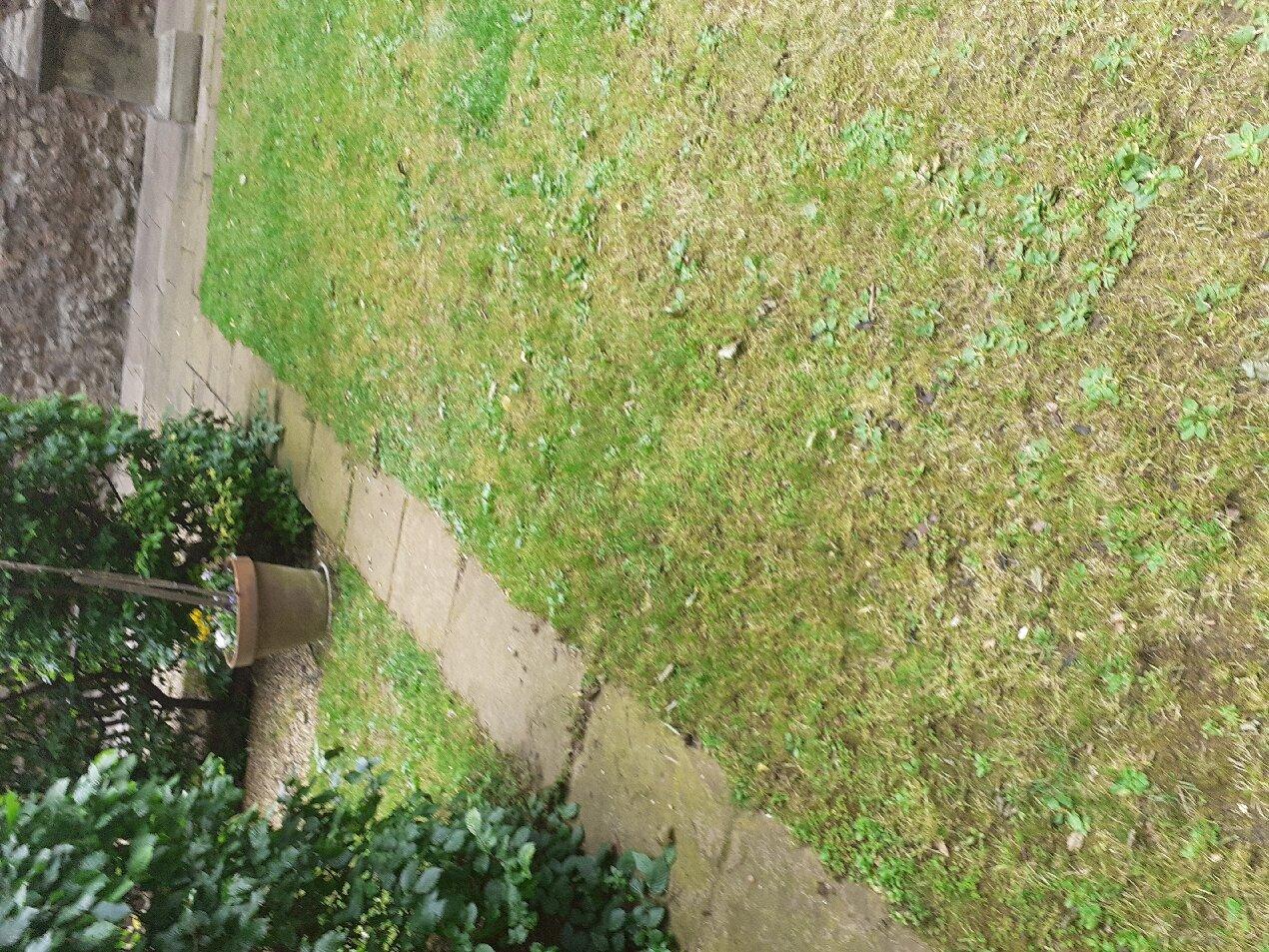 Salter's Hall Garden