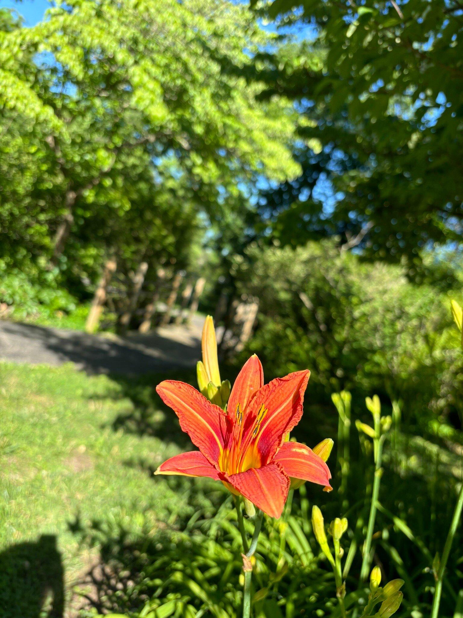 EC Million Memorial Park