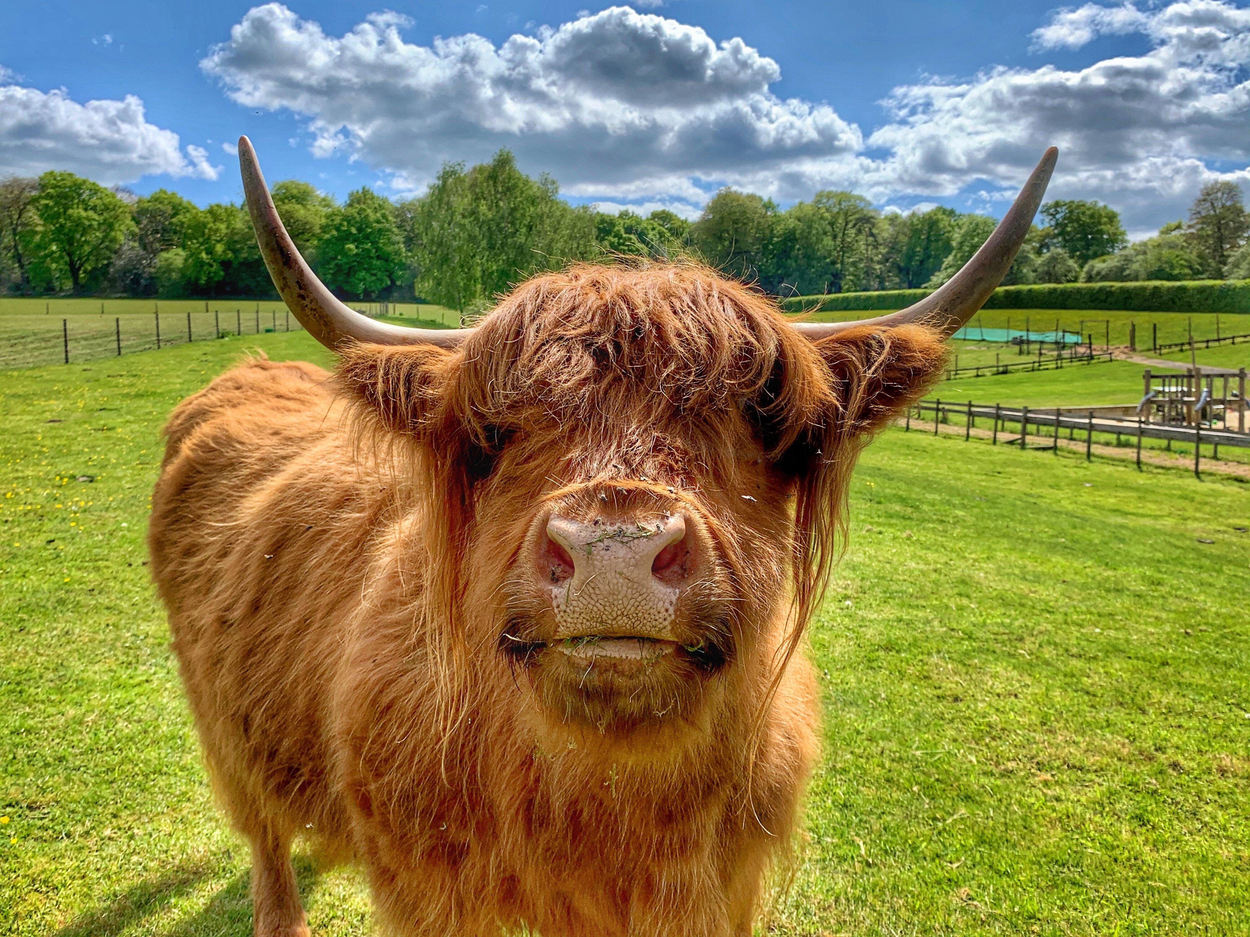 Godstone Farm & Play Barn
