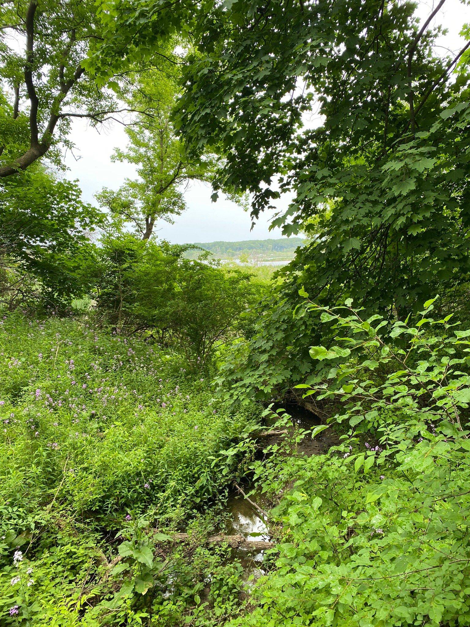 Photo by carolinemU7449IC