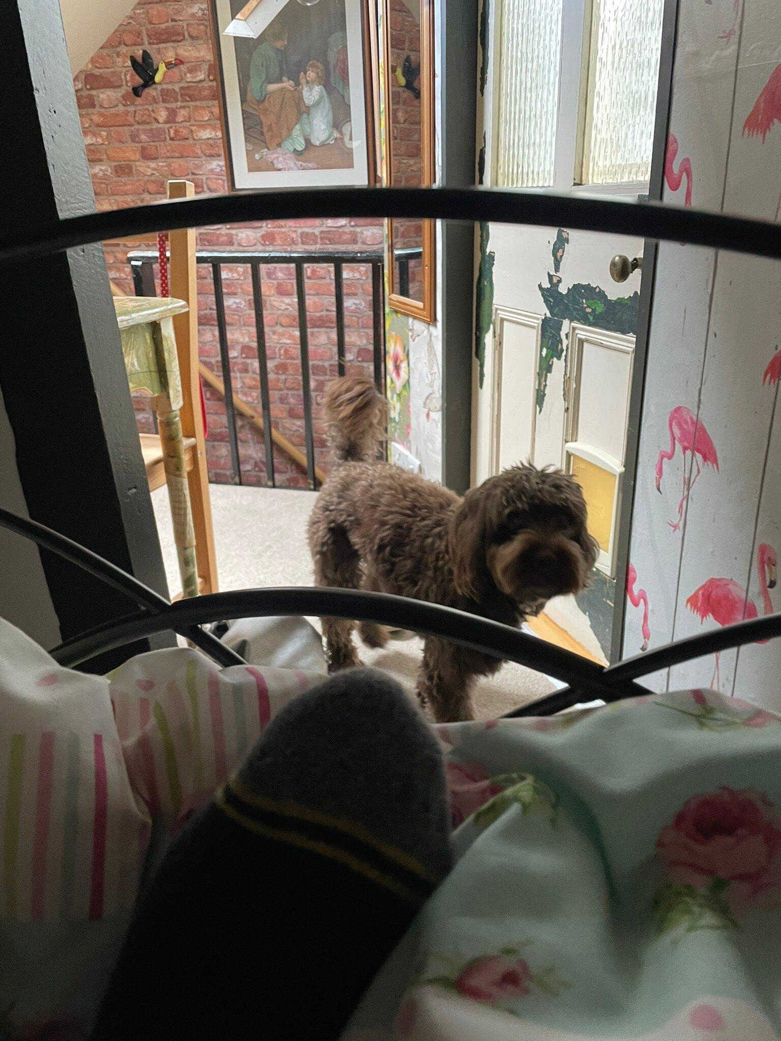 Photo by verybossyboots65