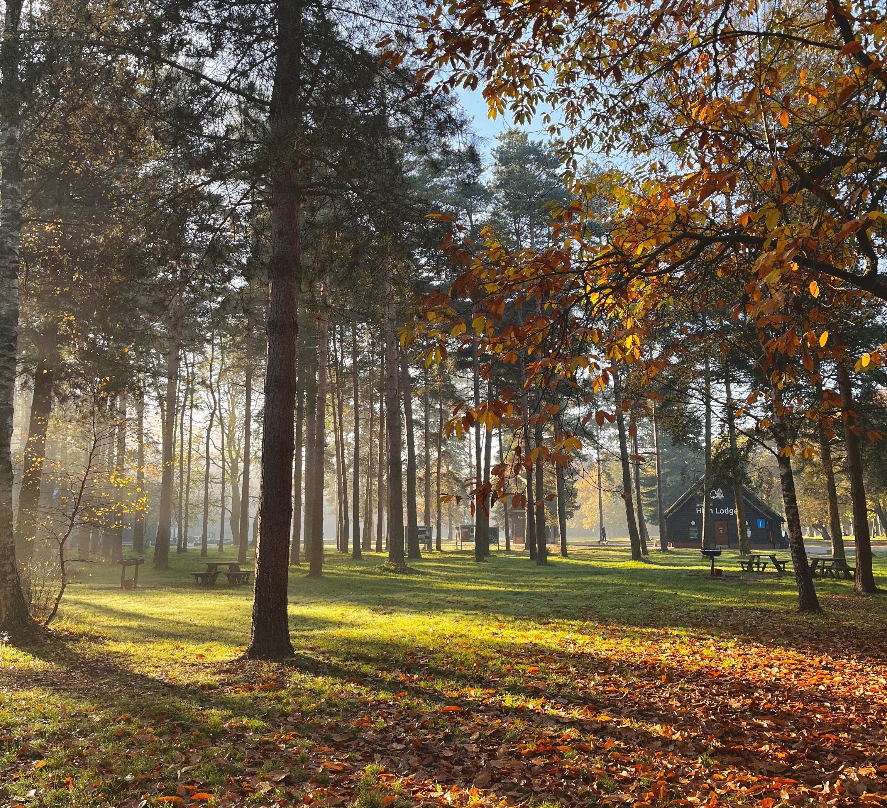 High Lodge Thetford Forest