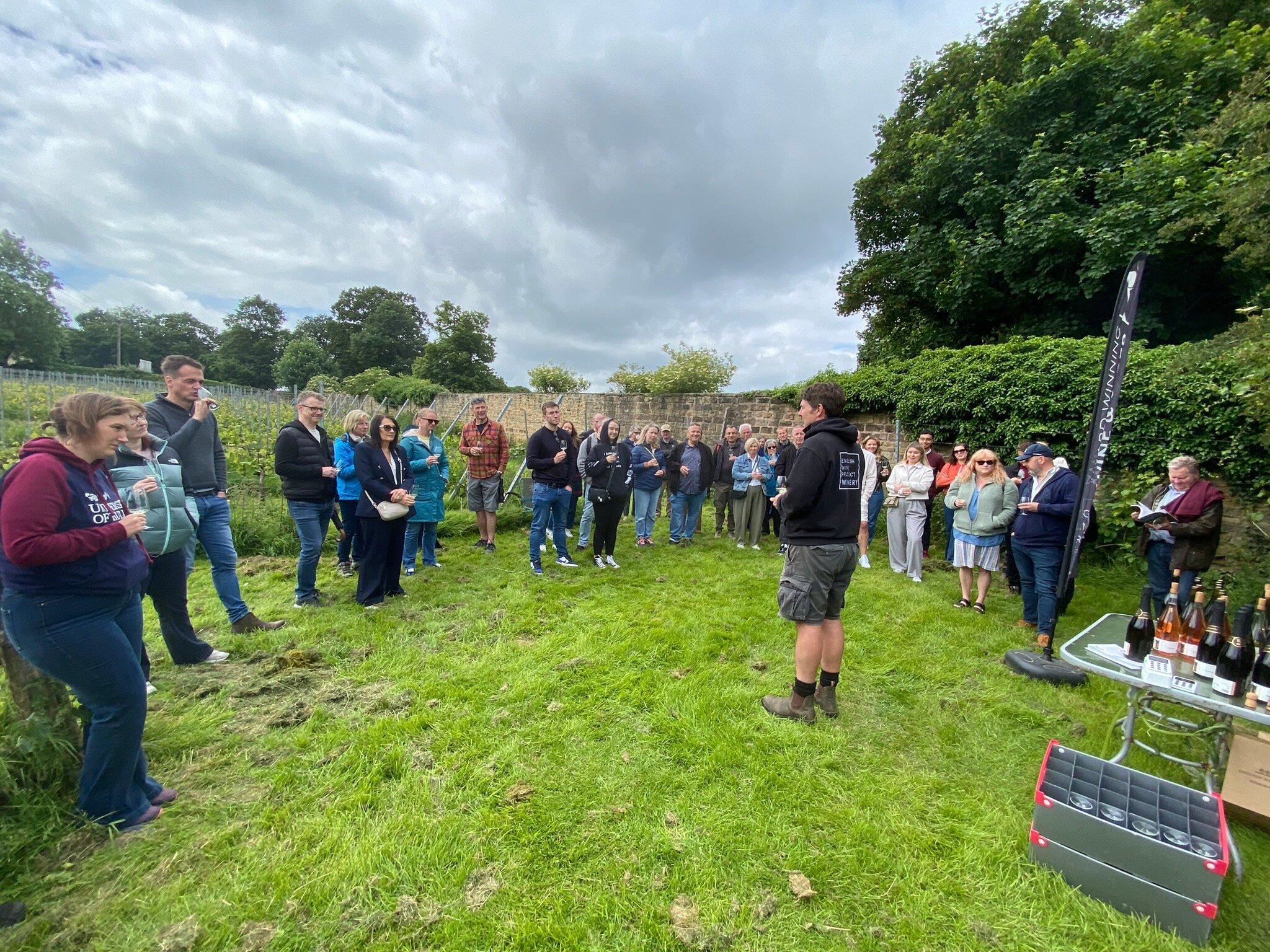 English Wine Project