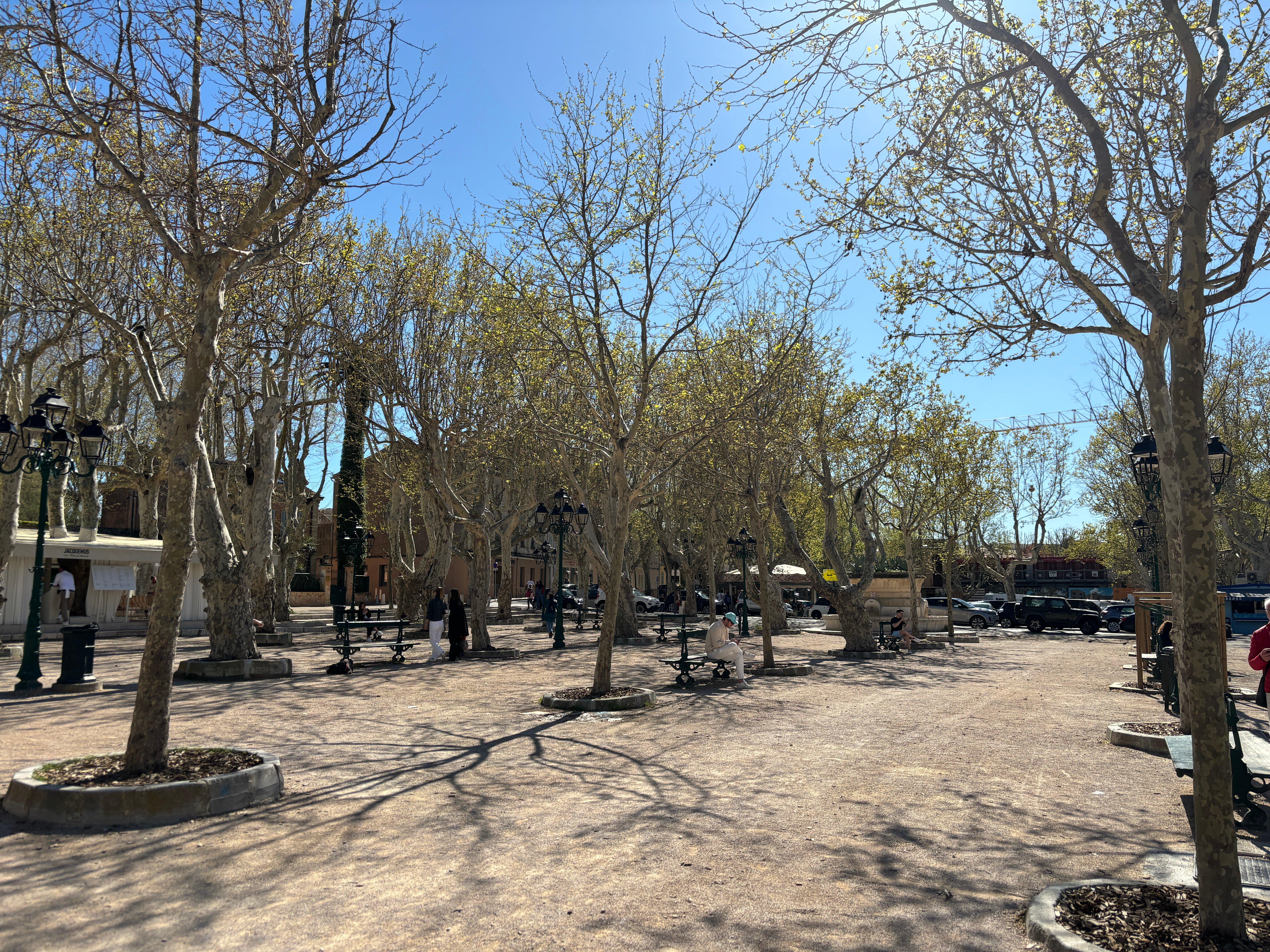 Photo by Elisabete J