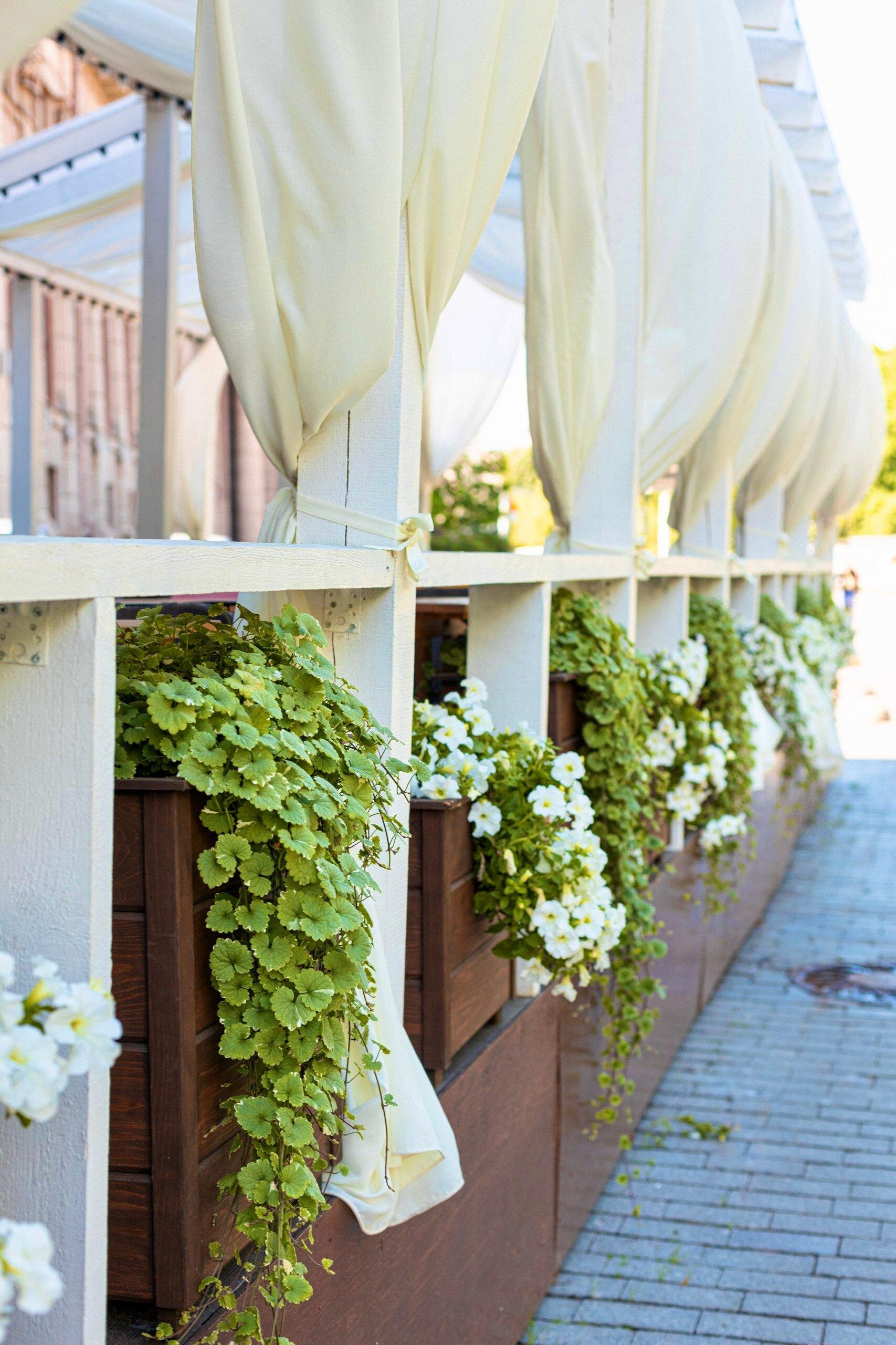 Photo by Ольга П