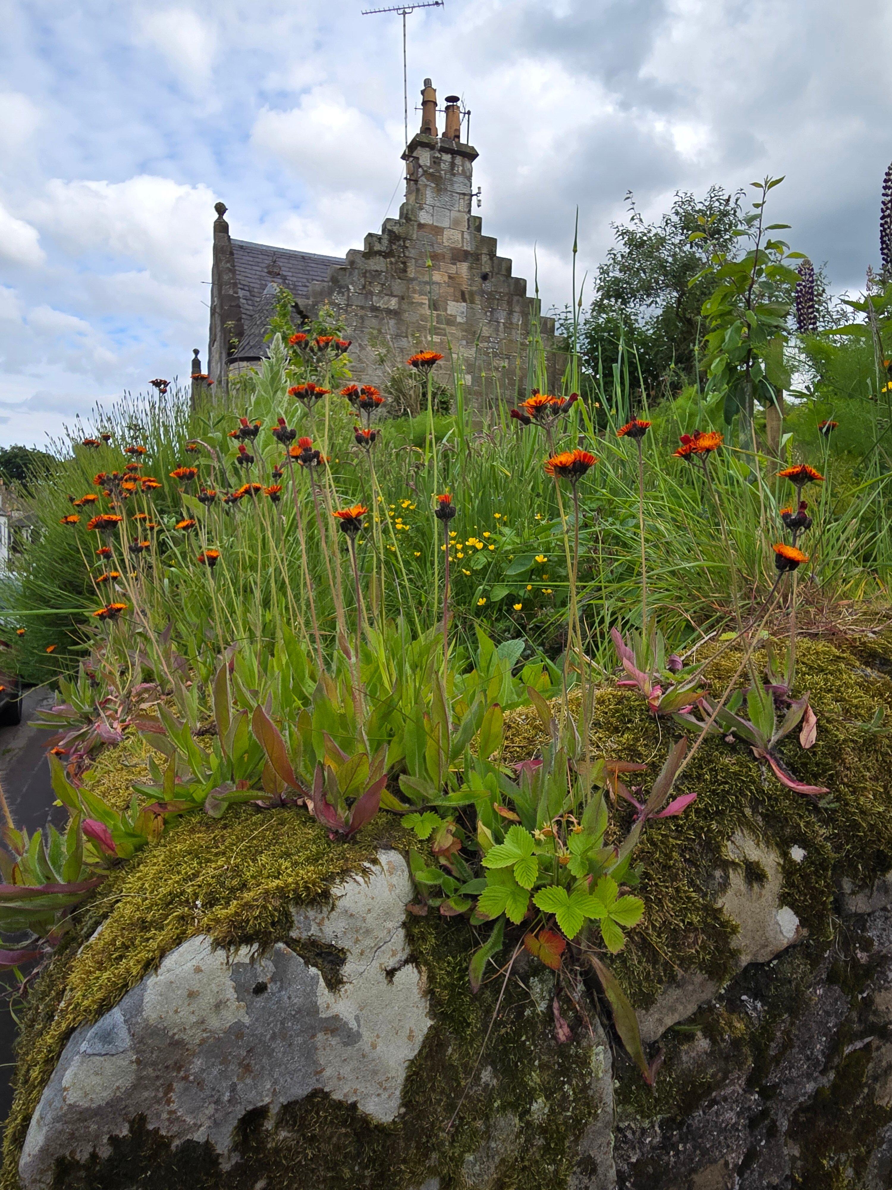 Up 'n About Scotland