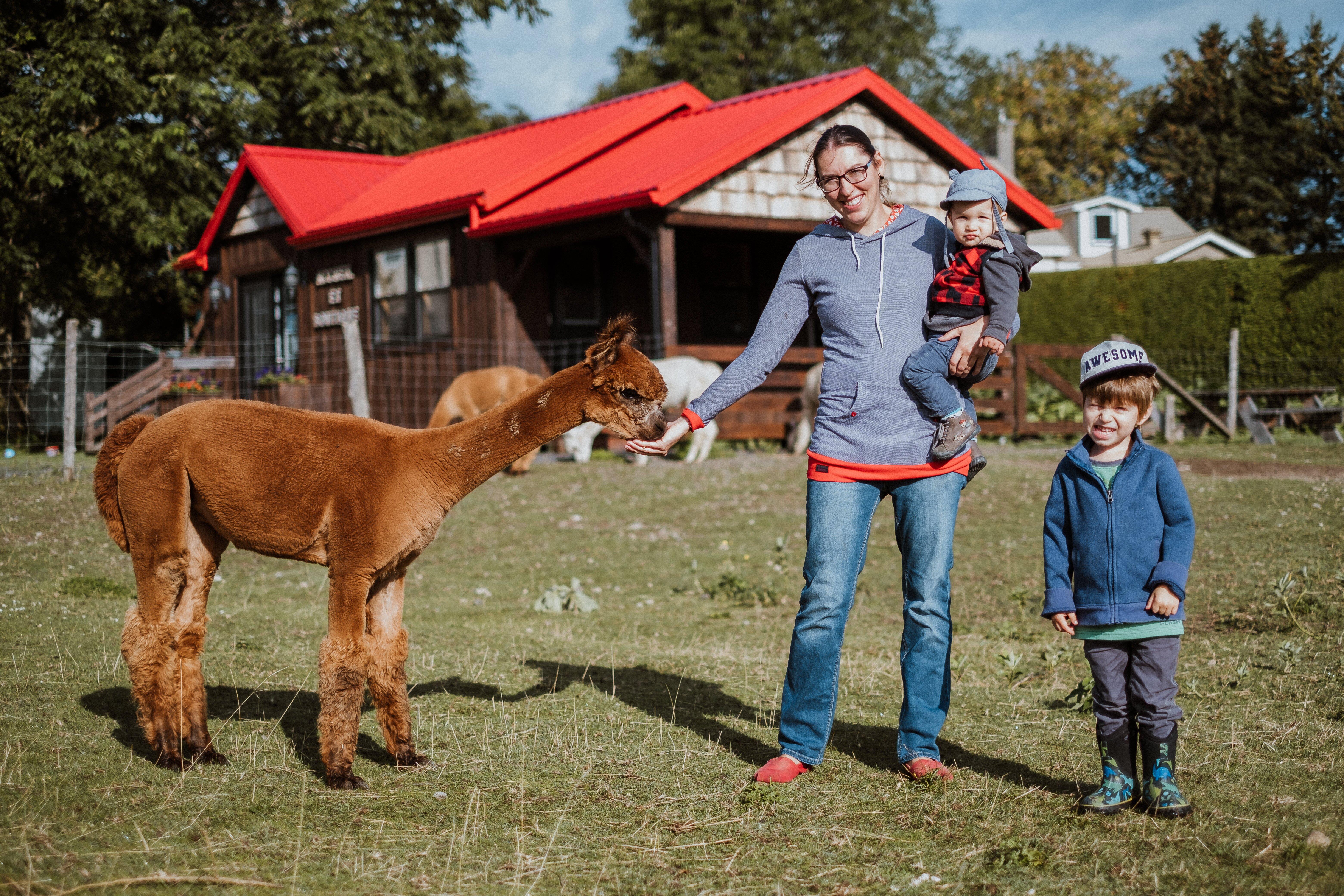 Alpagas D'Ham Nature