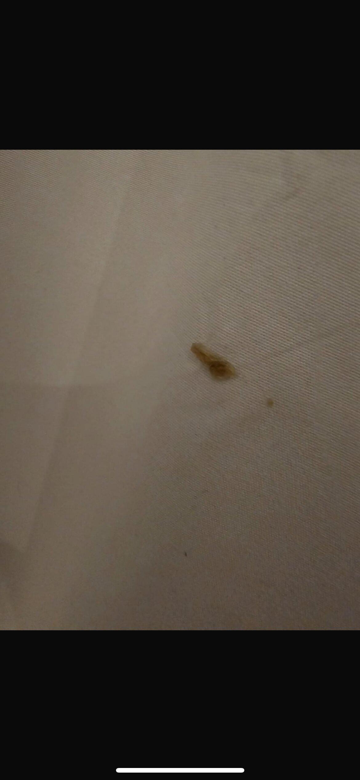 Grand Airport Ensuites