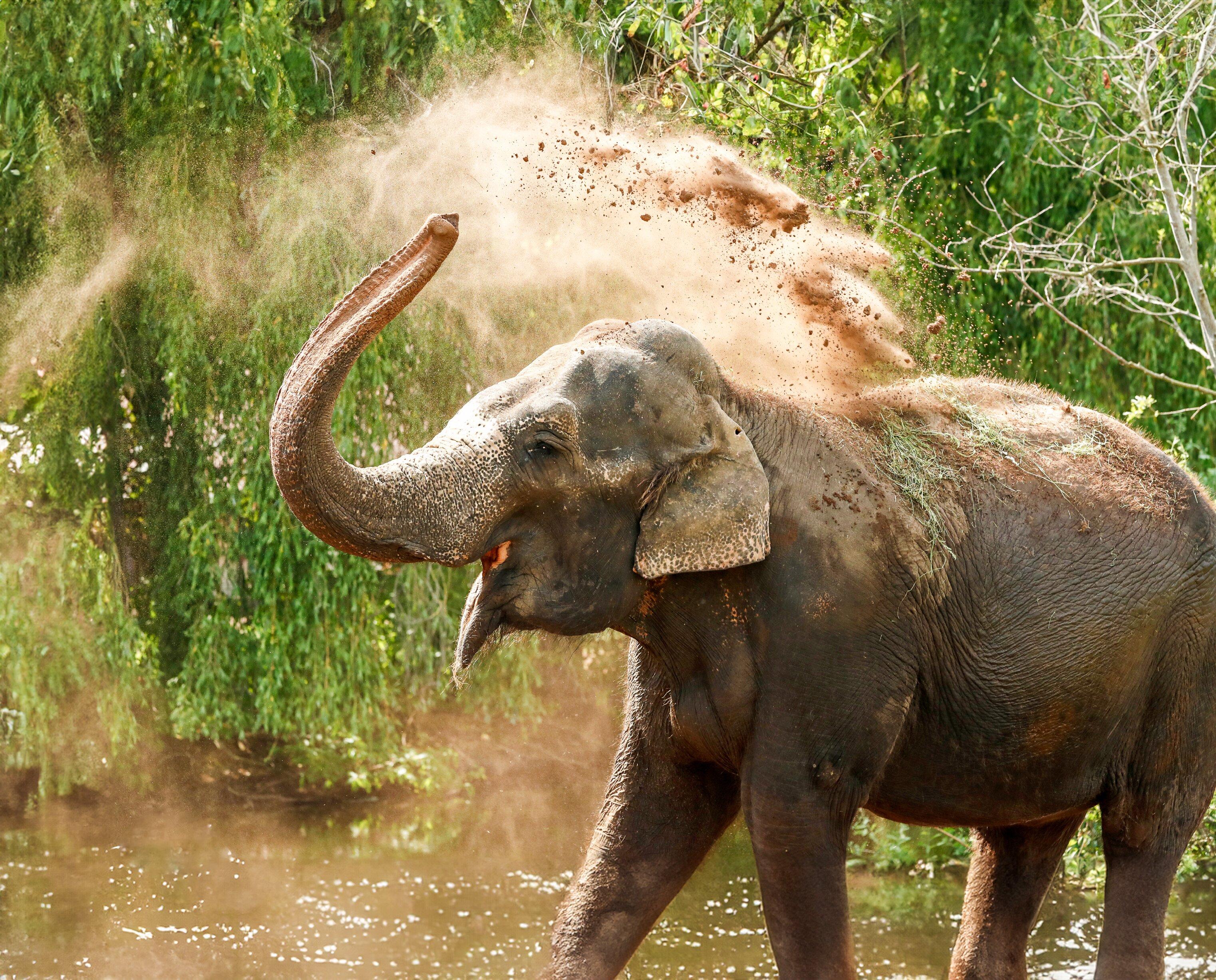 Tierpark Ströhen - Der Entdeckerzoo