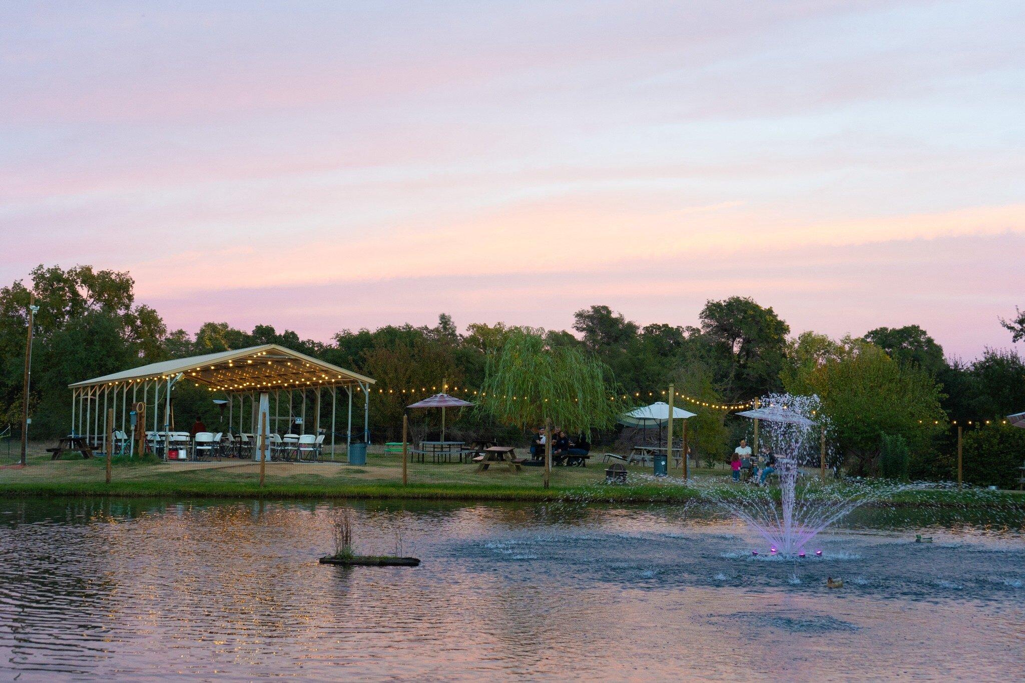 Dueling Dogs Brewing Co