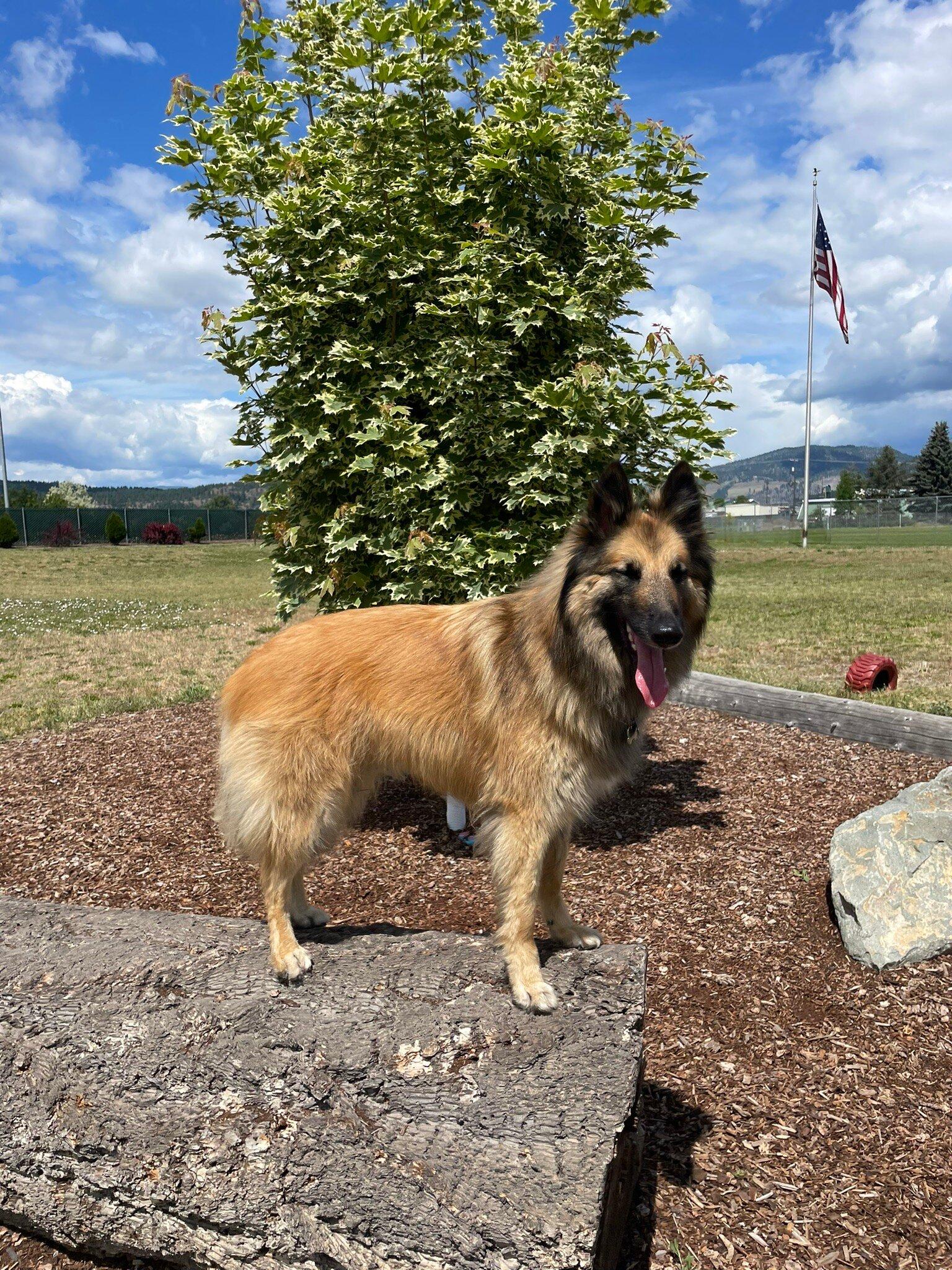 Photo by robinr82361