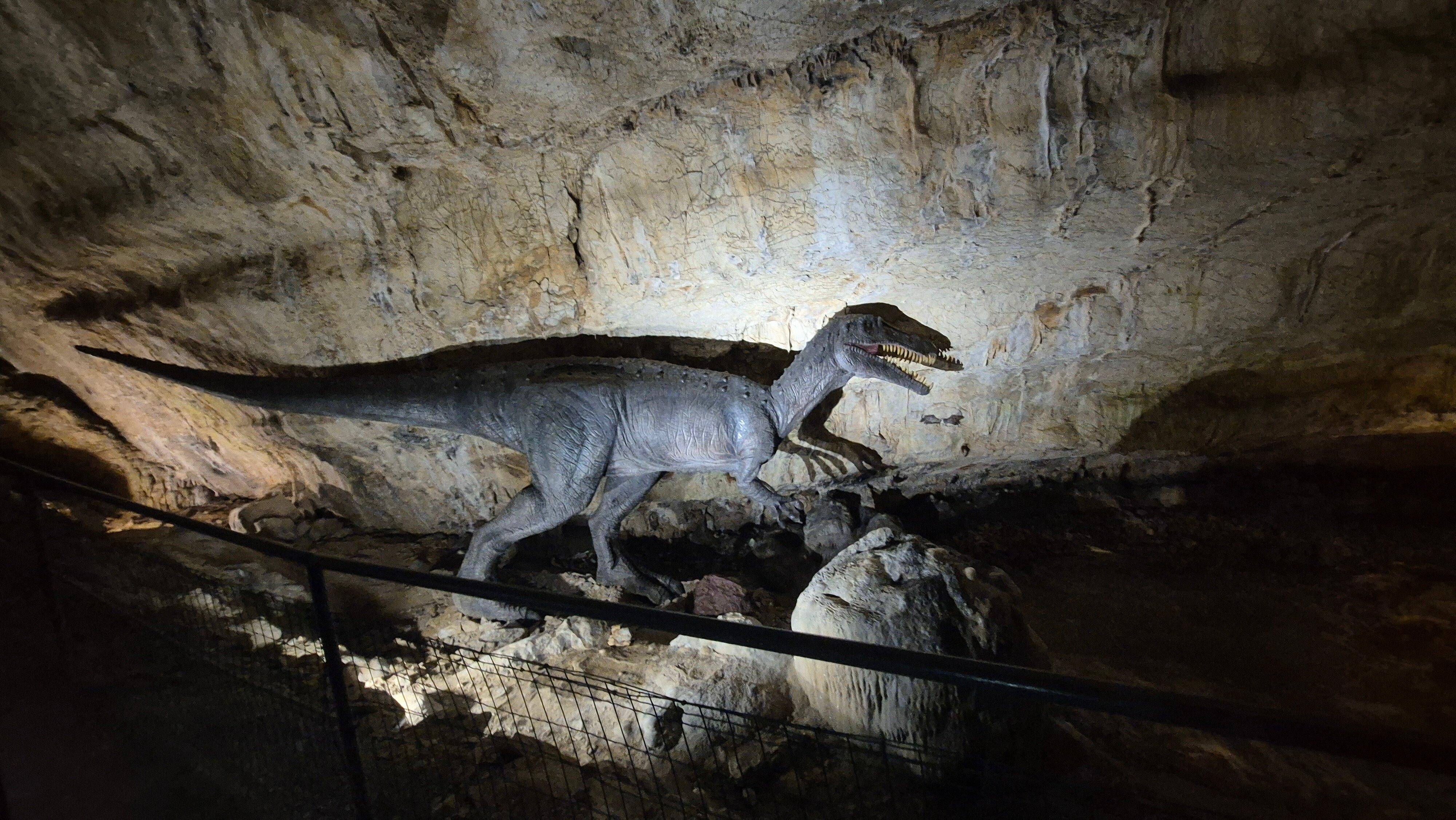 Dinopedia Expérience