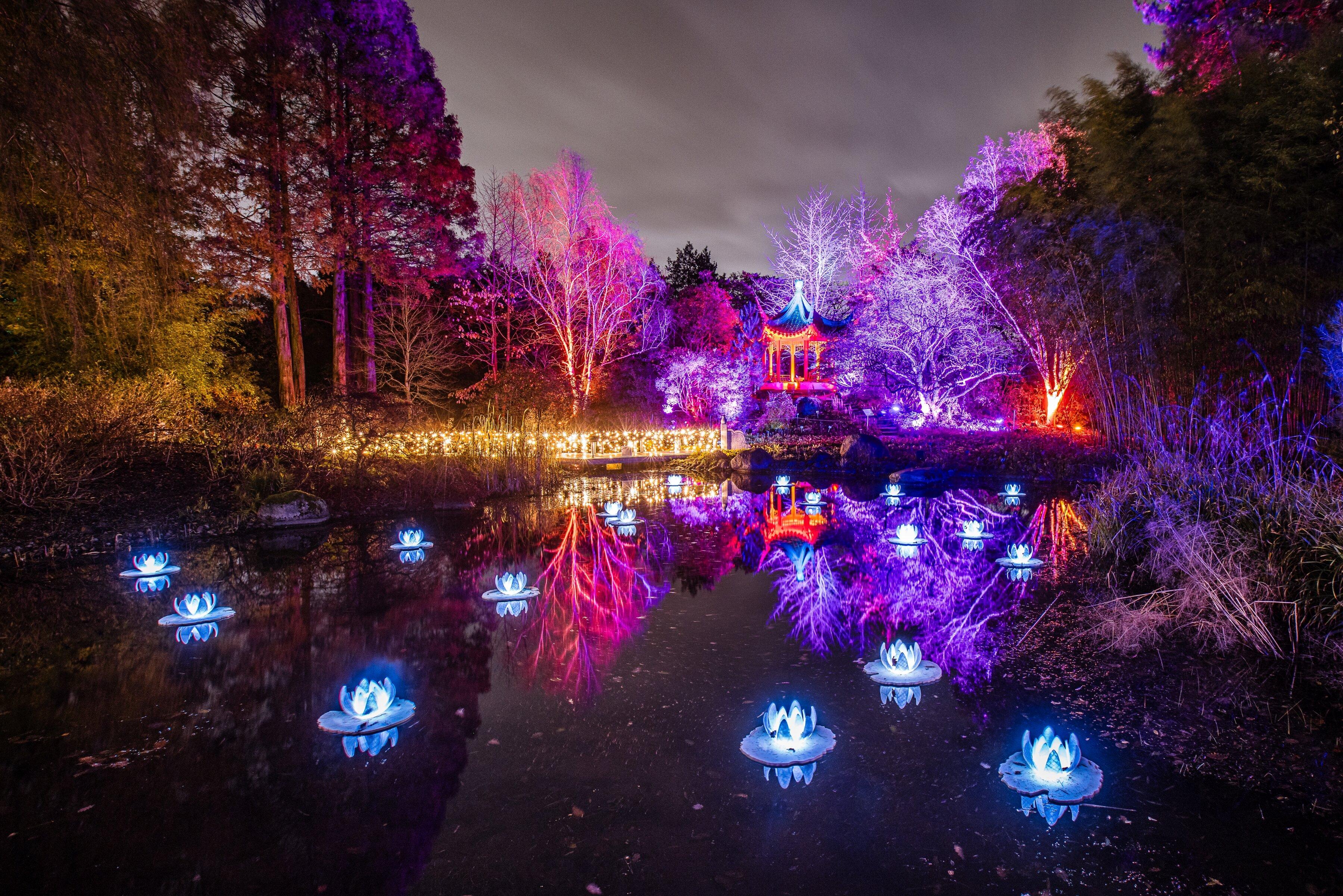 Christmas Garden Hamburg