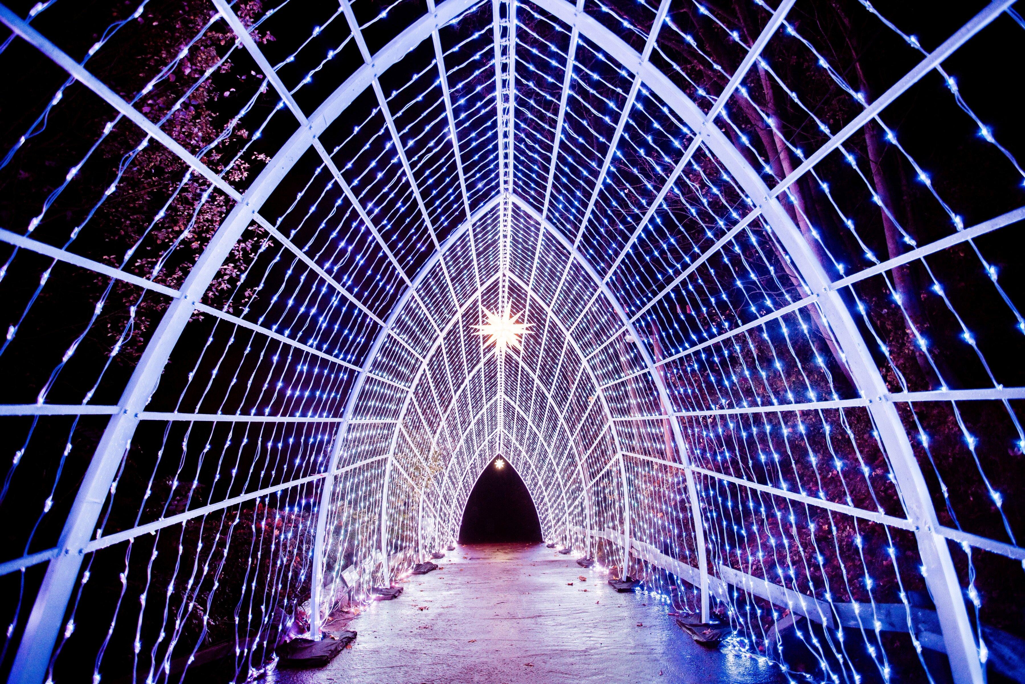 Christmas Garden Hannover