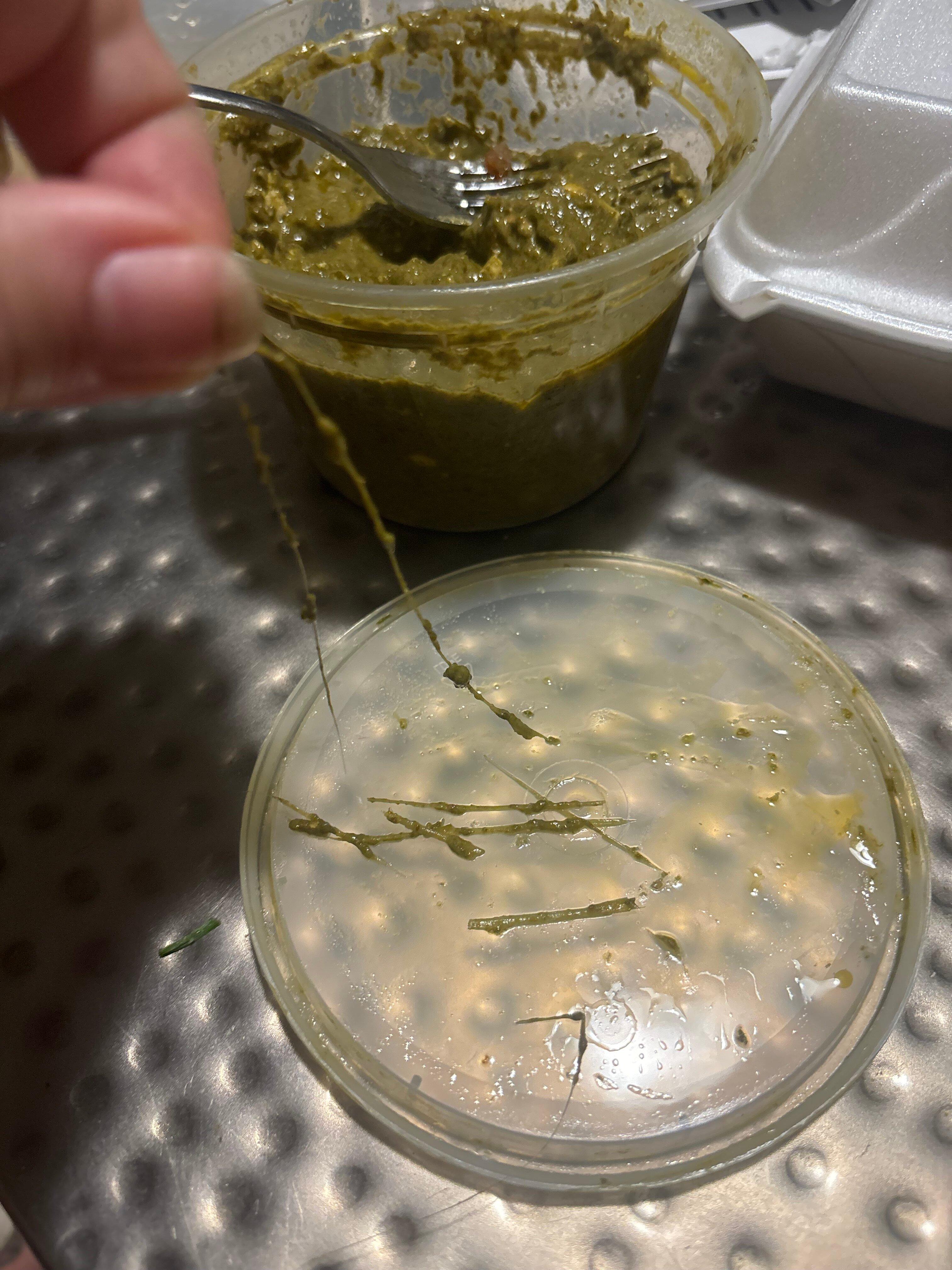 Tick-Tock Tikka House