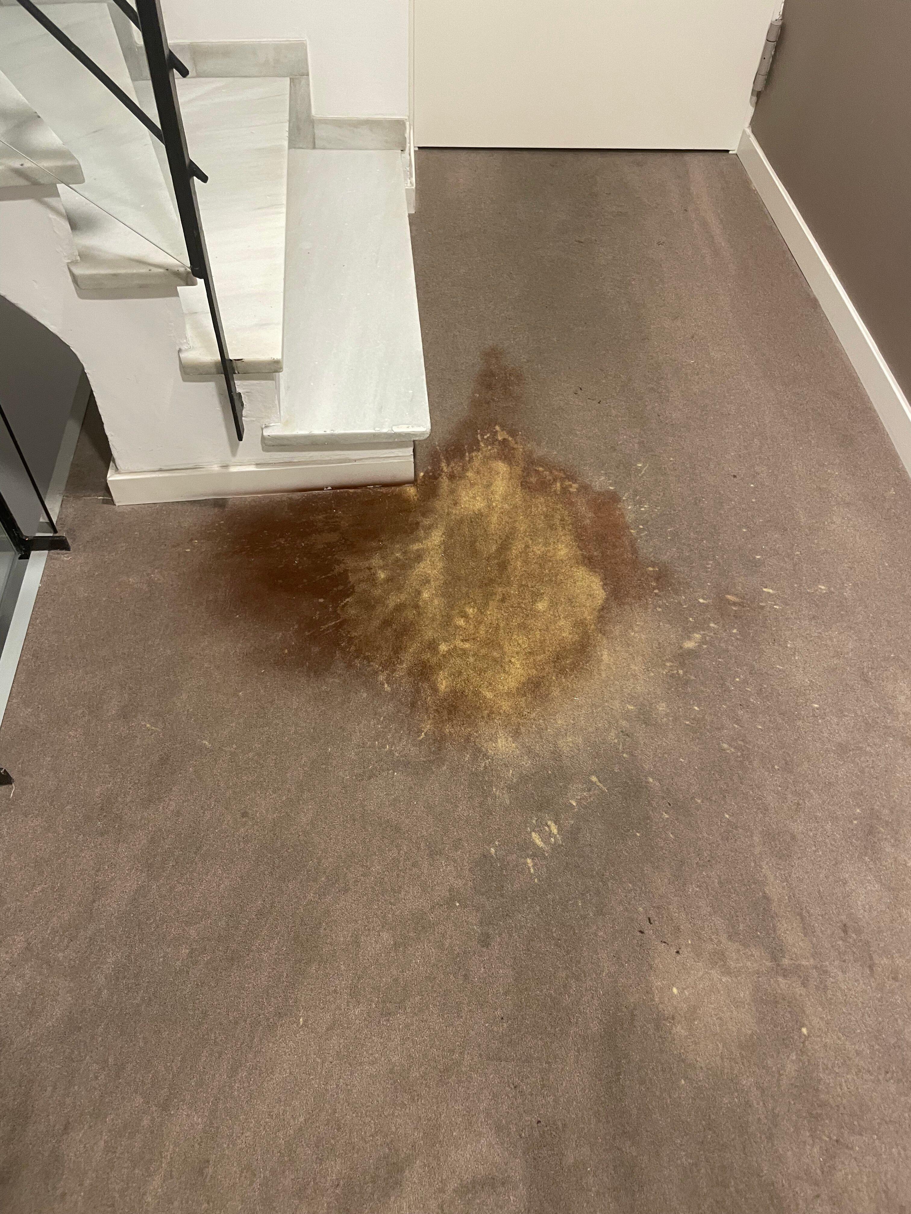 Limehome Barcelona Carrer de Fontcoberta