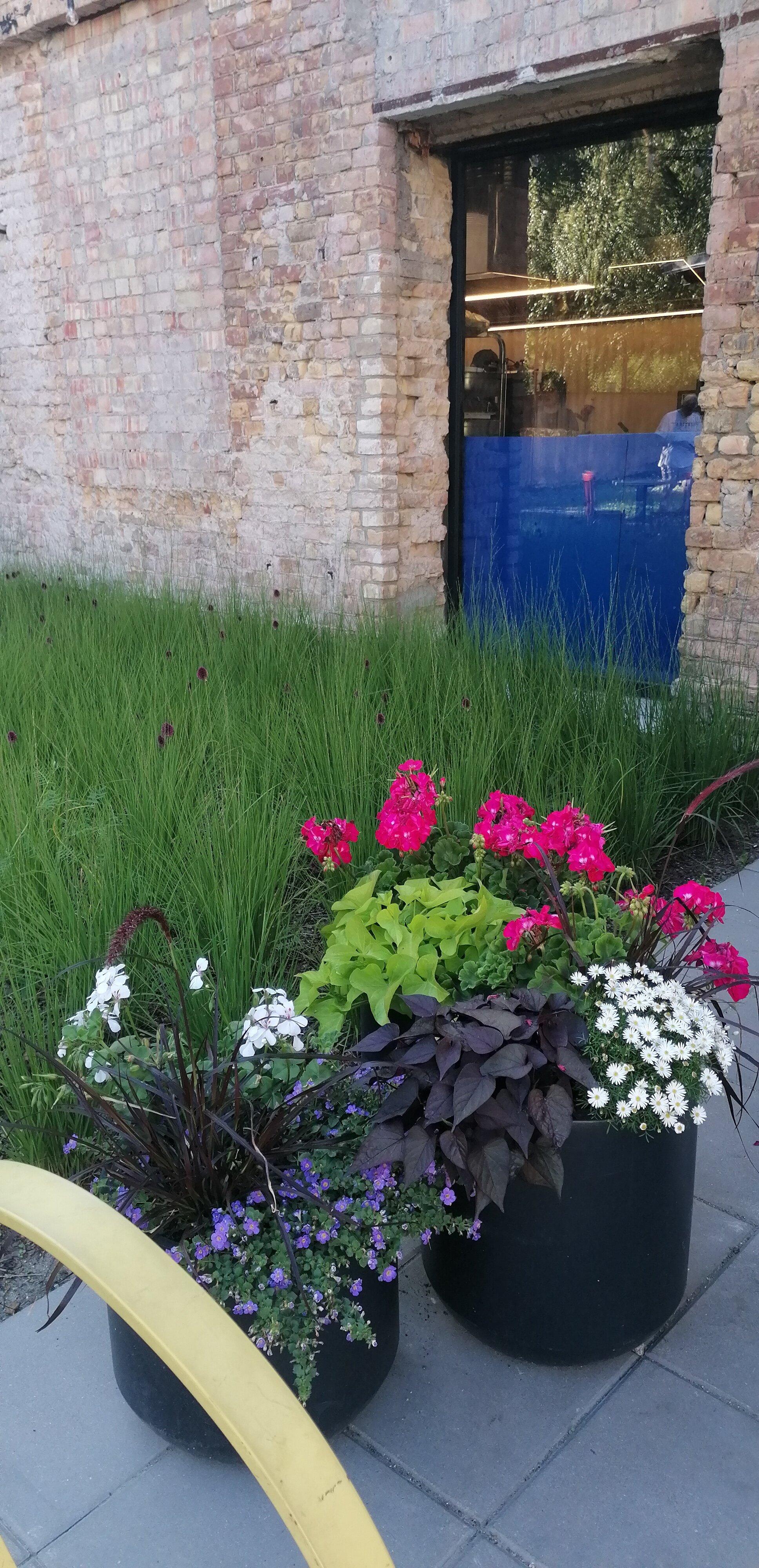 Brūzis manufaktūra