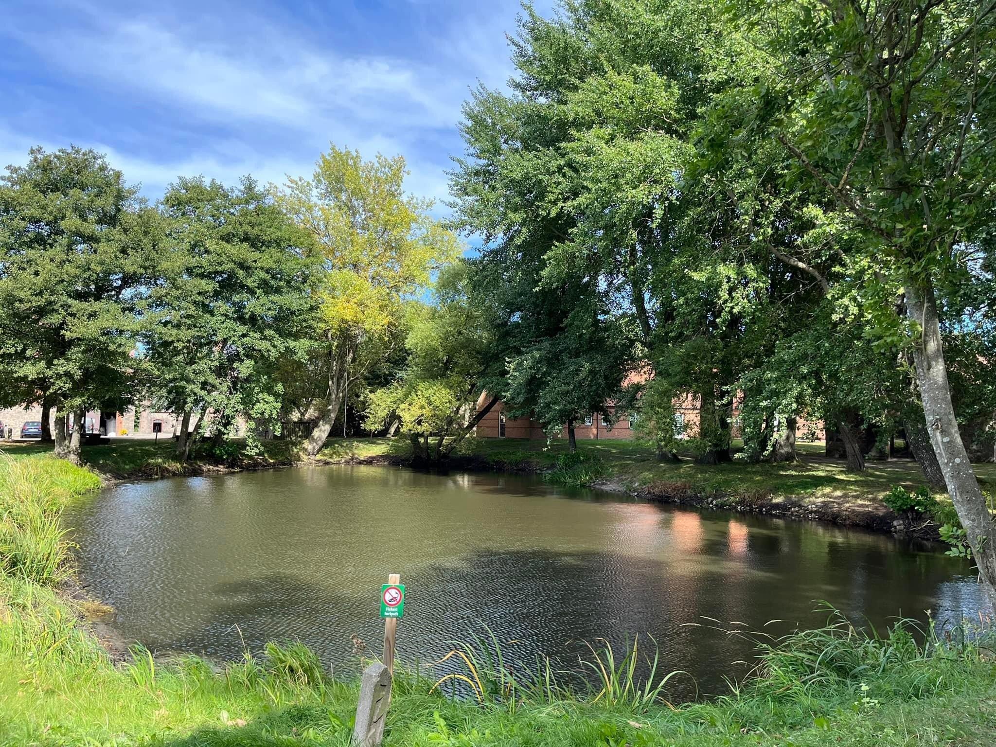 Photo by Nonna Velide D