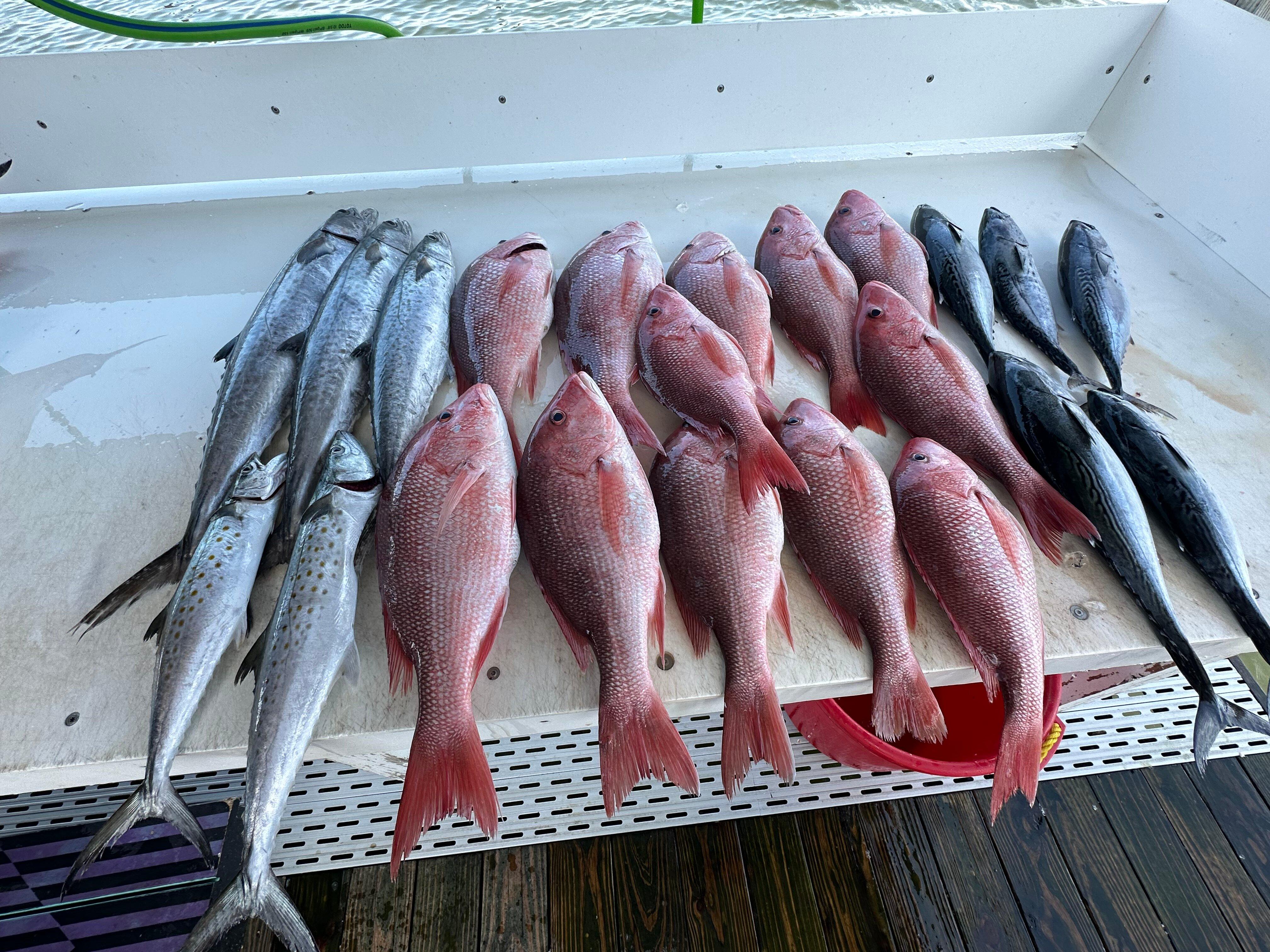 Miss Brianna Fishing Charters