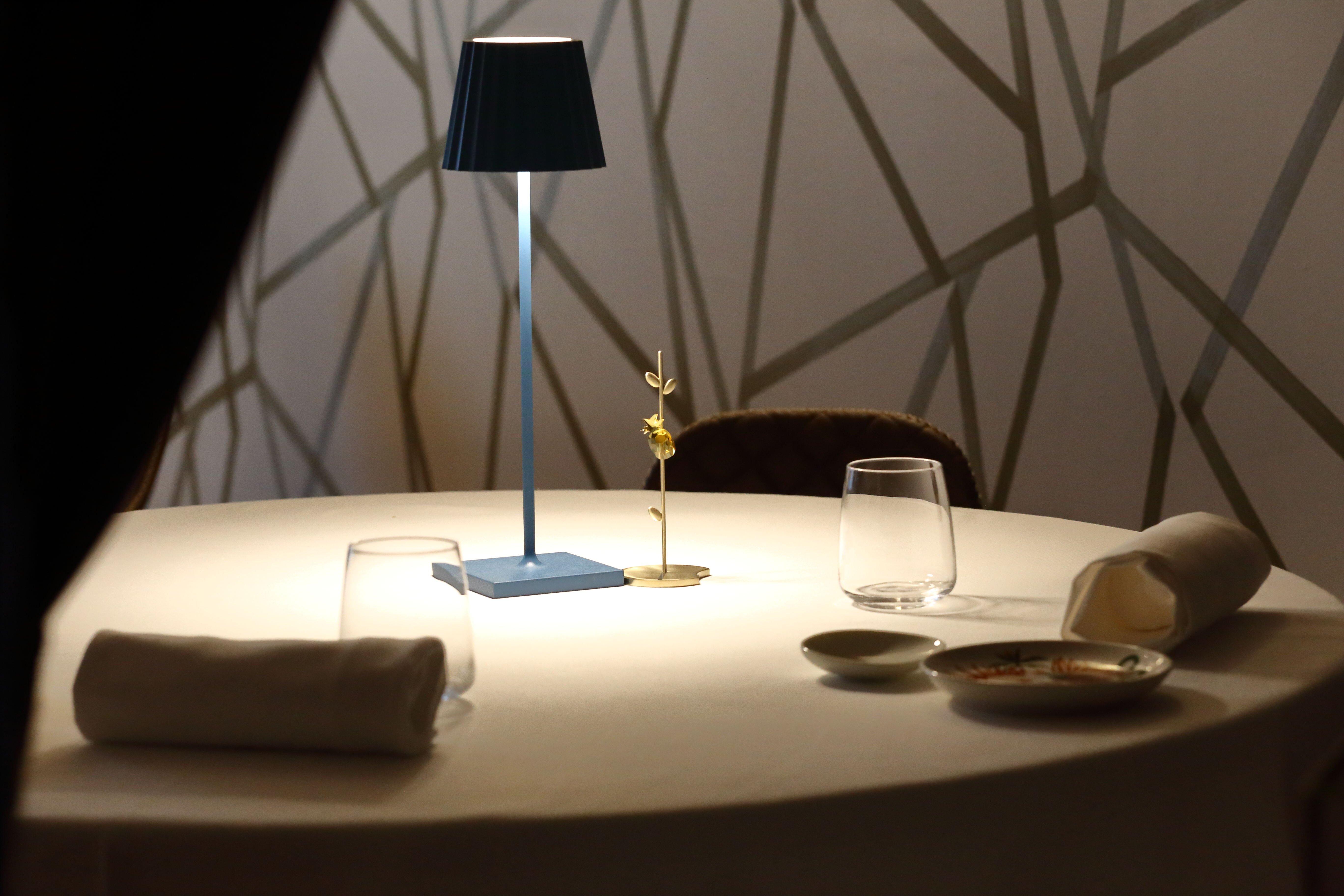 Il Gatto Sull'albicocco