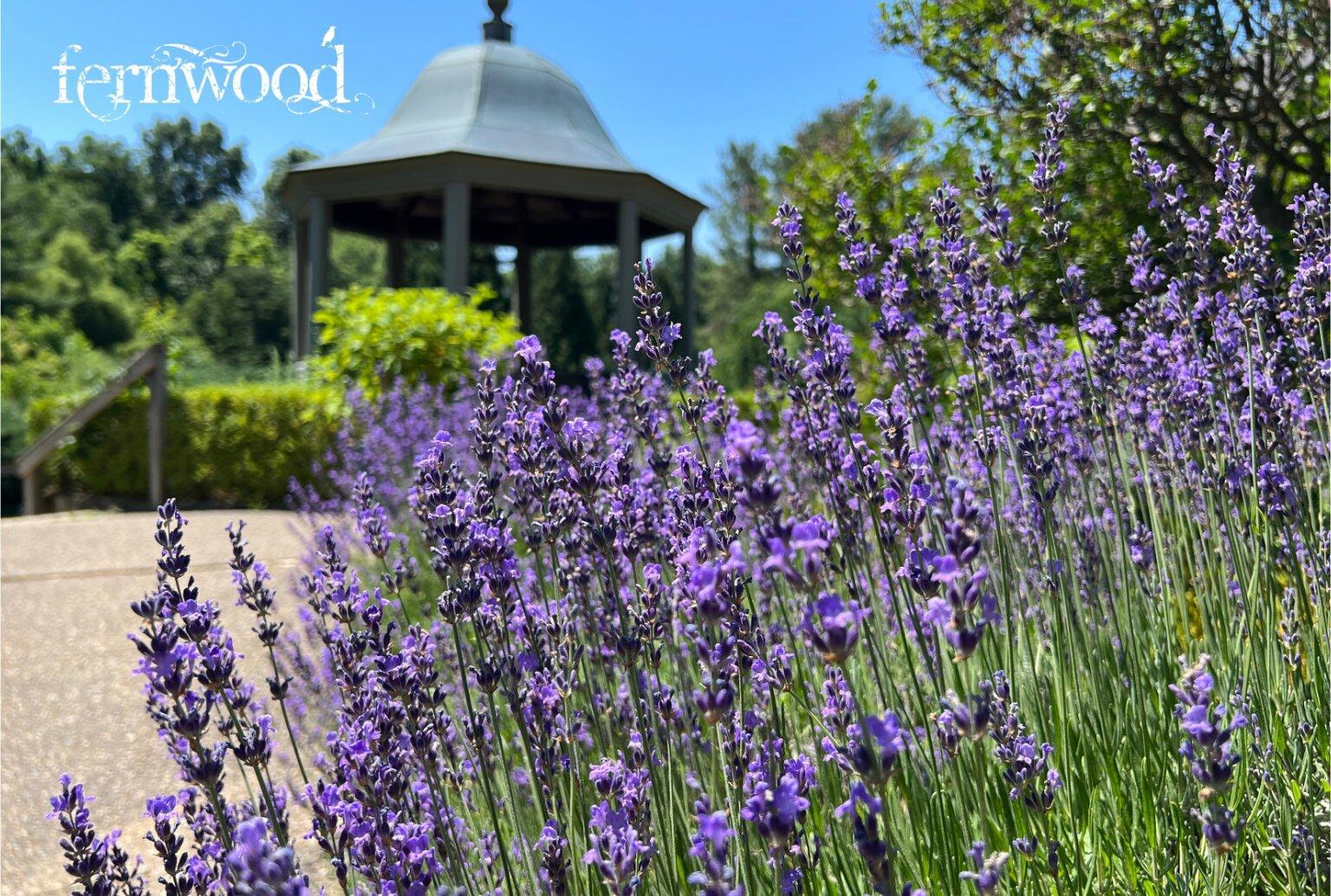 Fernwood Botanical Garden