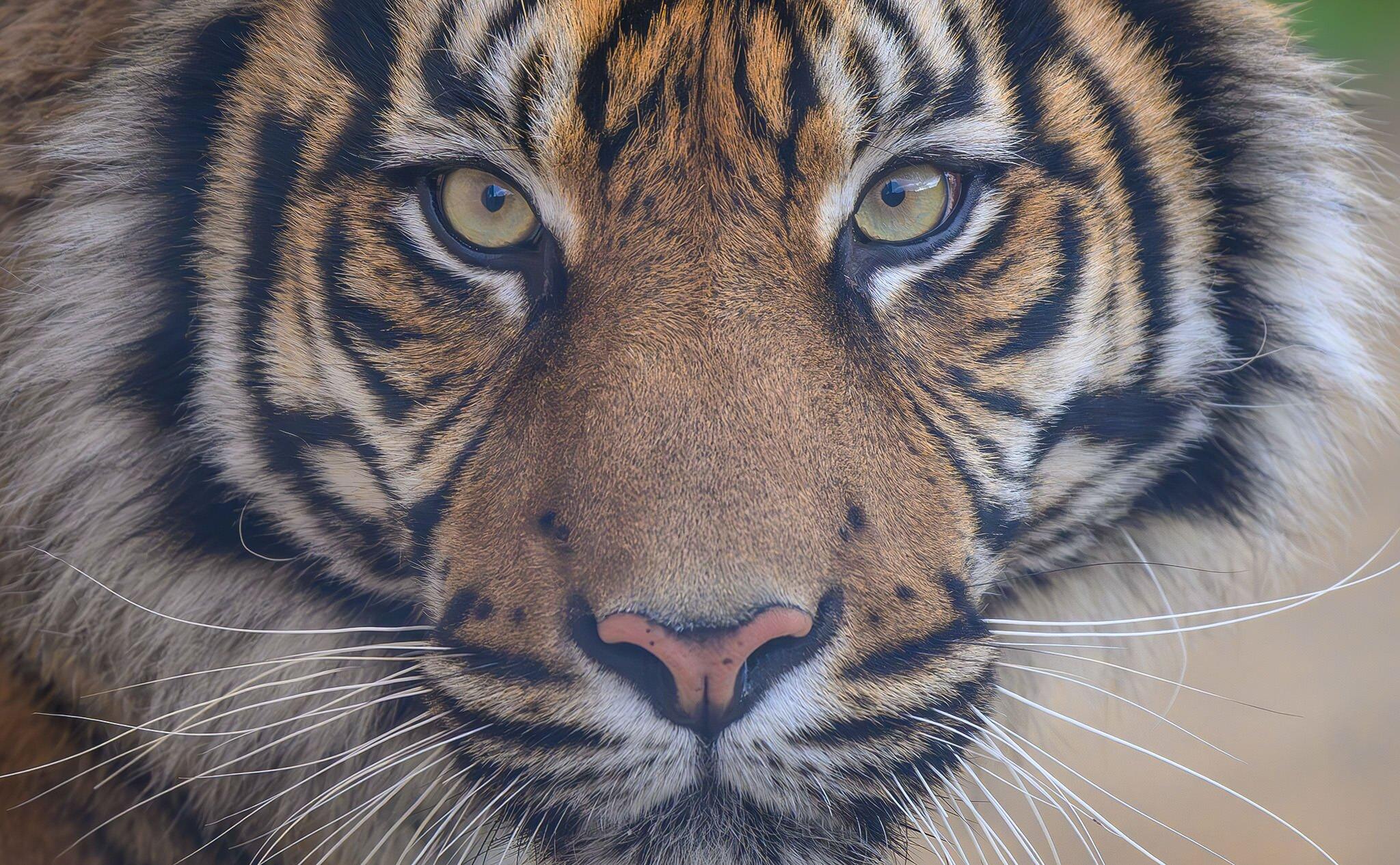 Zoo de La Boissière du Doré