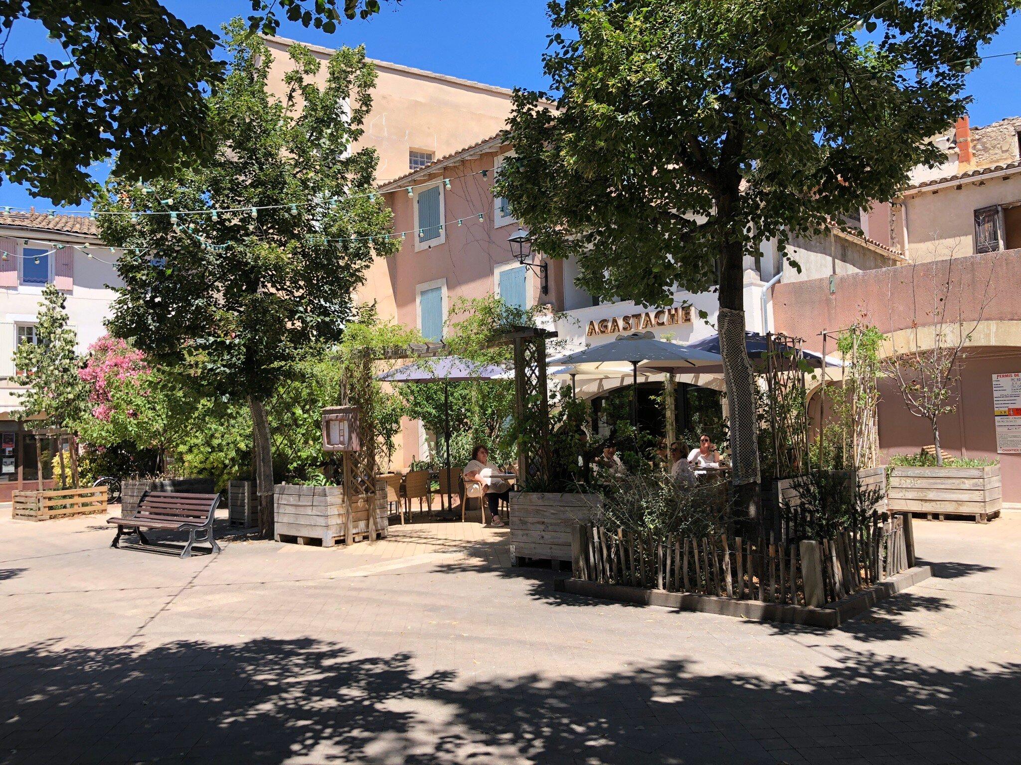 Restaurant Agastache