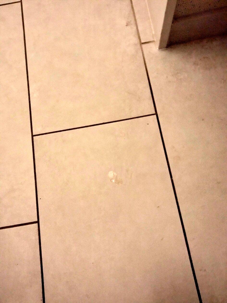 Holiday Inn Express & Suites Bardstown, an IHG hotel