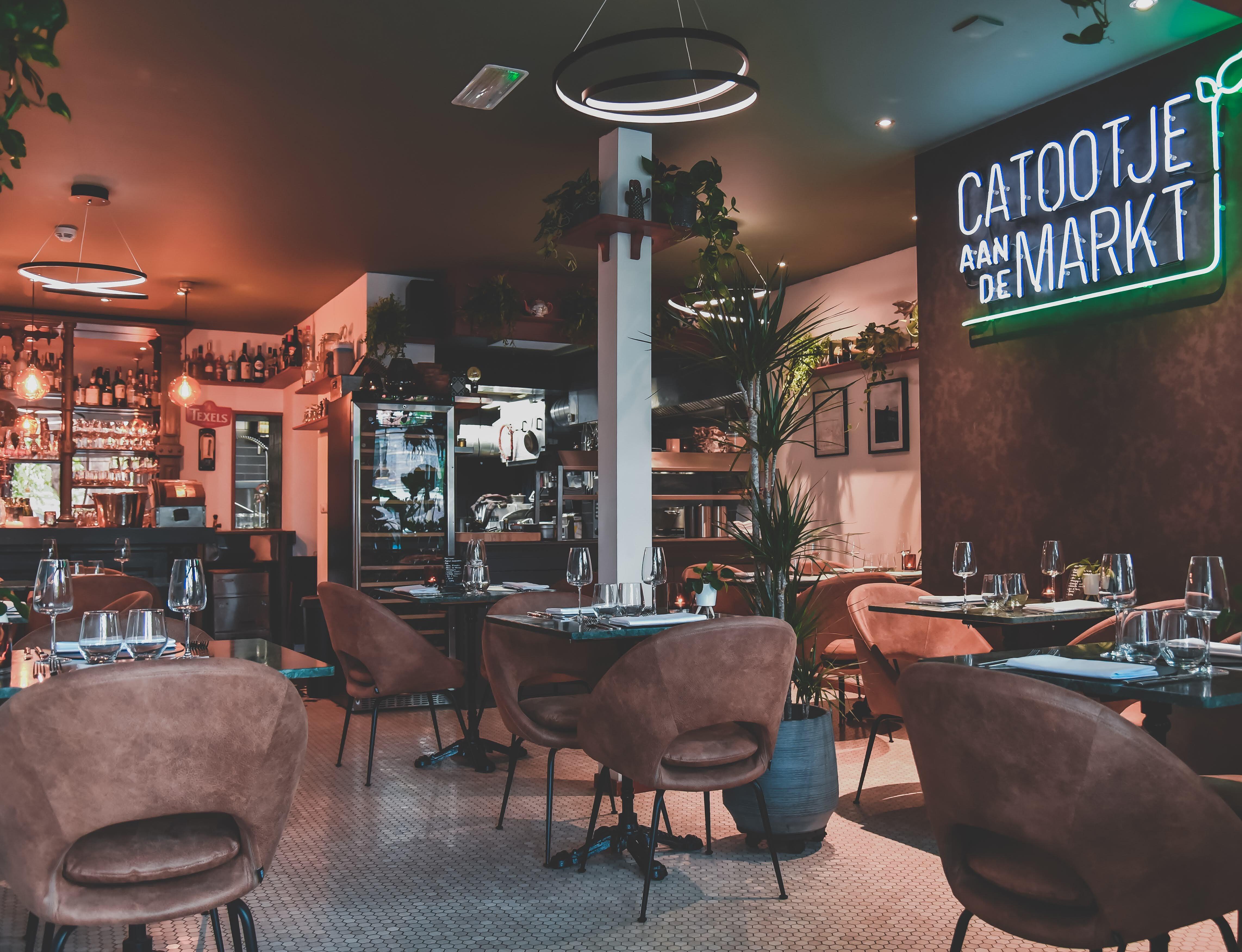 Catootje aan de Markt