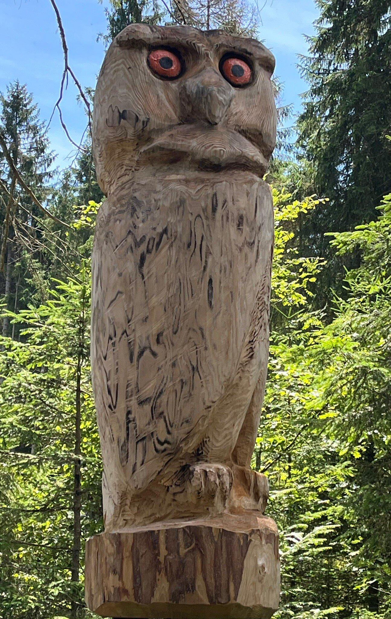 Zauberwaldpfad Bernau