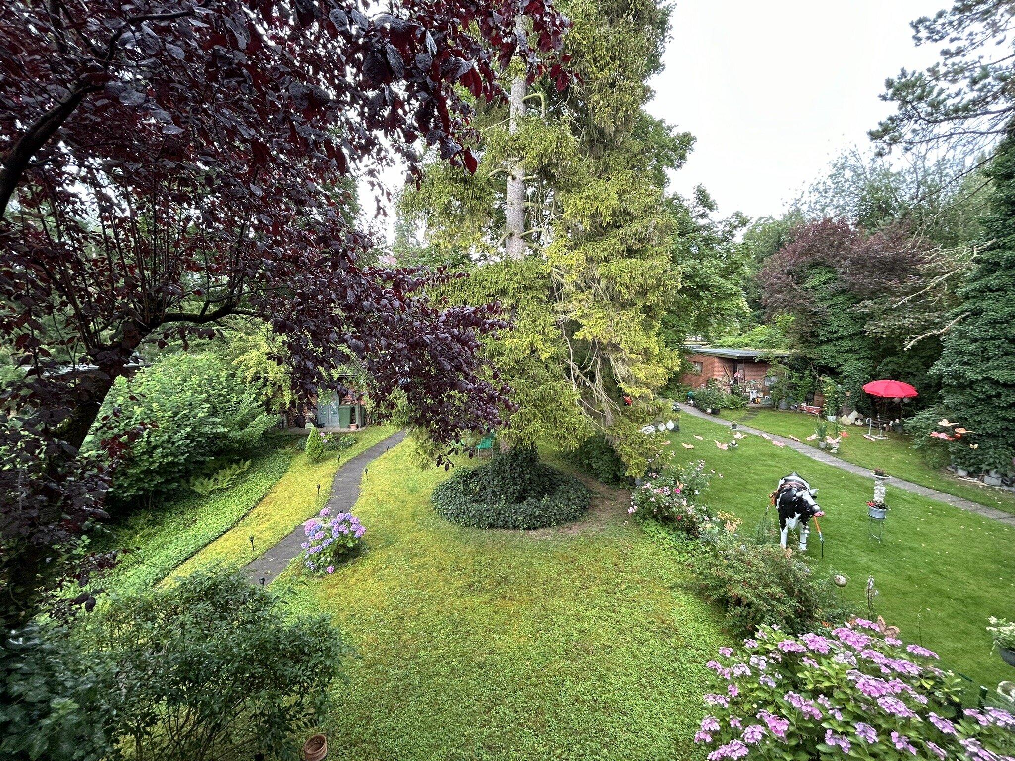 B&B Chez Jean et Daisy