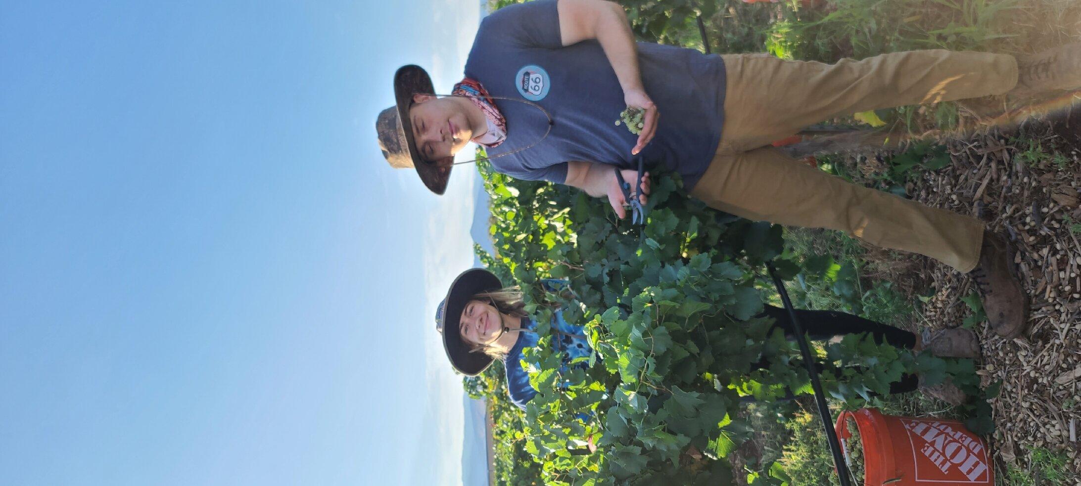 Arena Blanca Winery and Wine Tastings