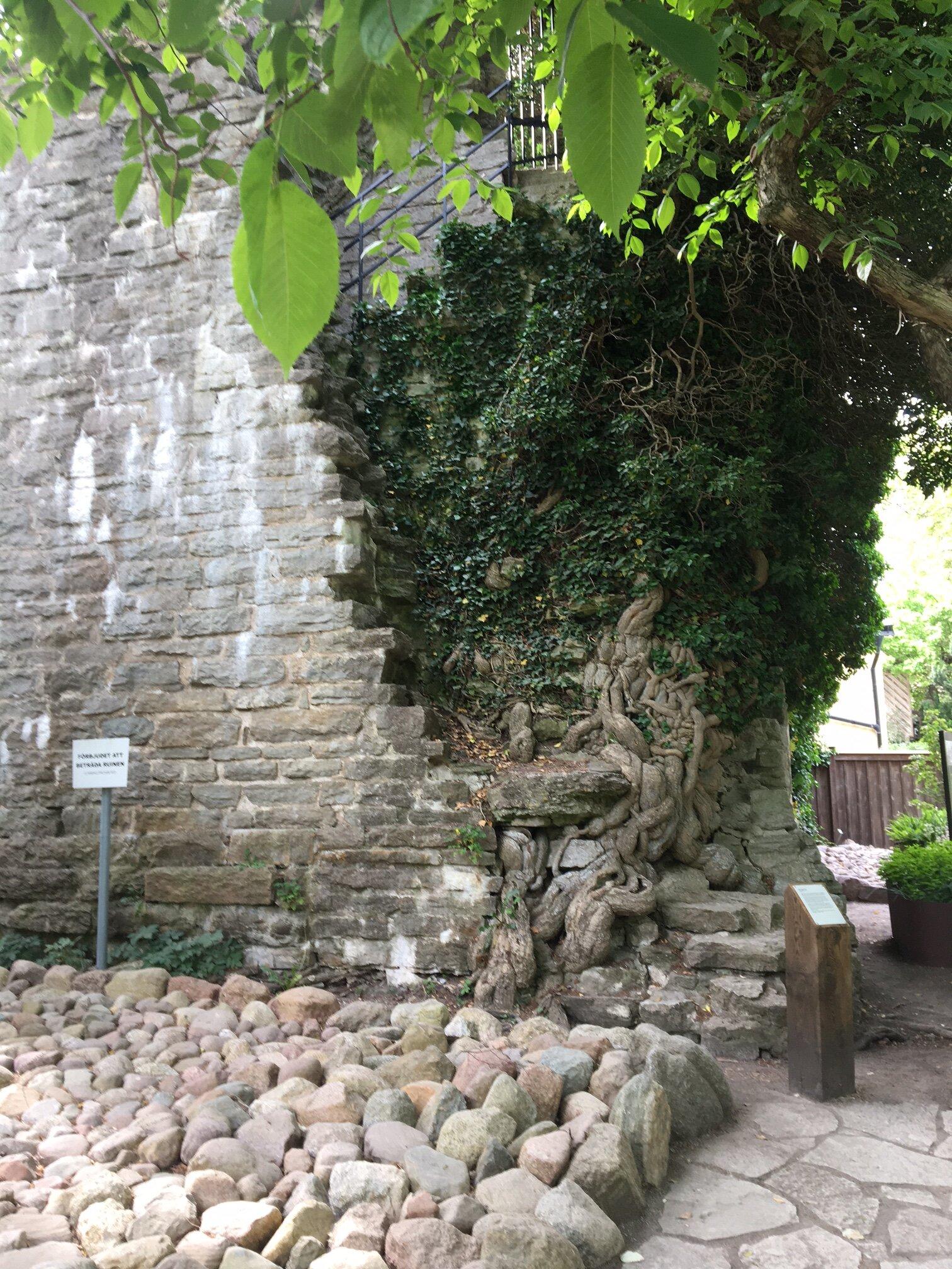 DBW's Botanical Garden