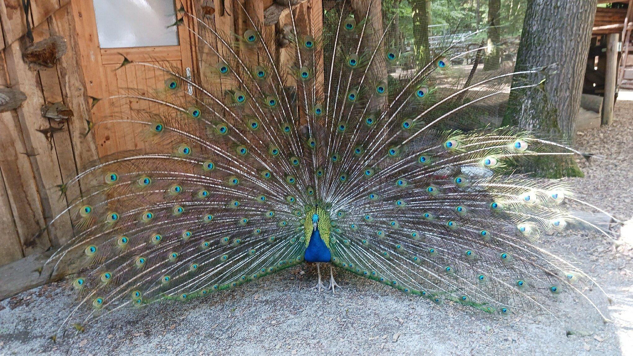 Outdoor-Zentrum-Lahntal