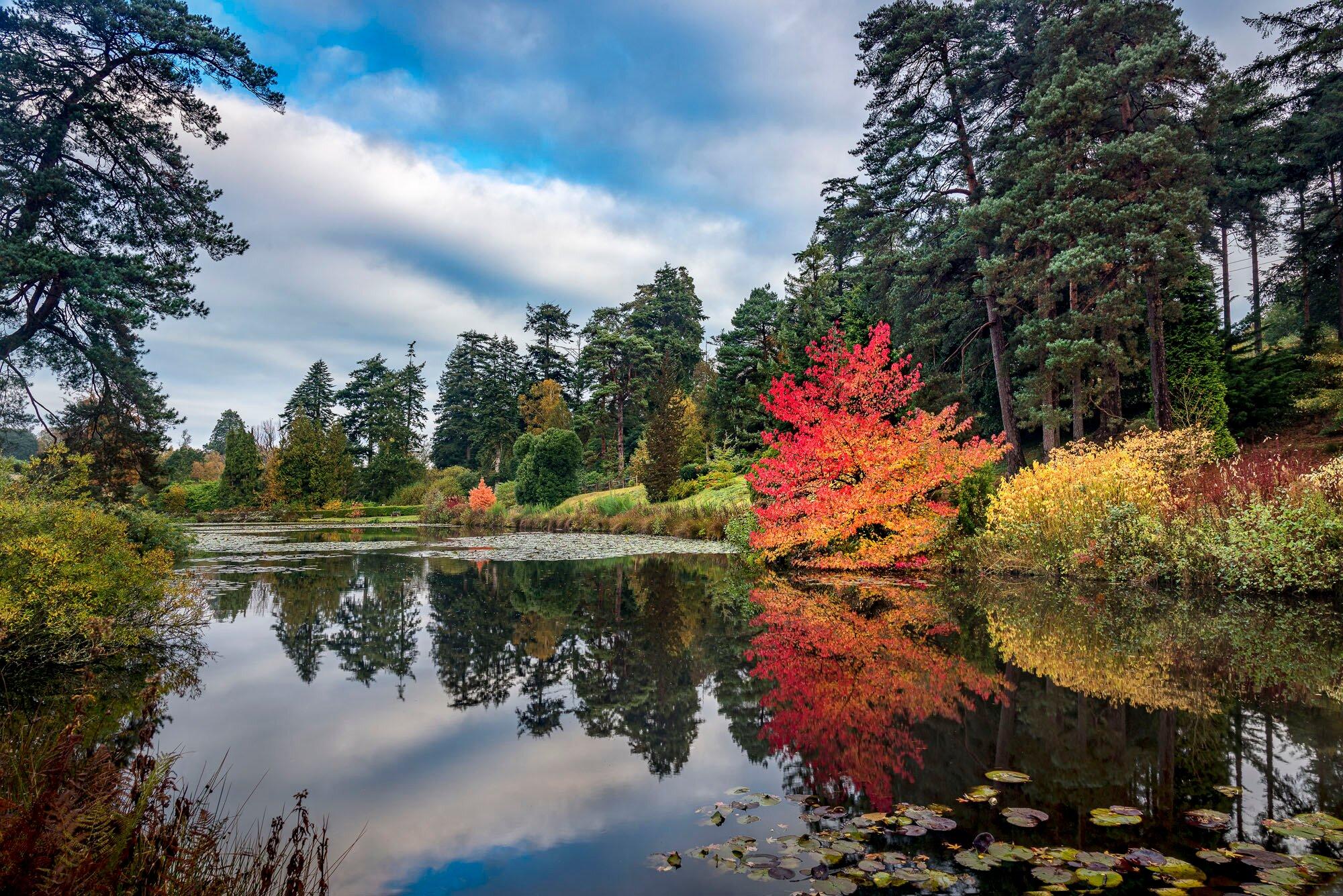 Bedgebury National Pinetum And Forest