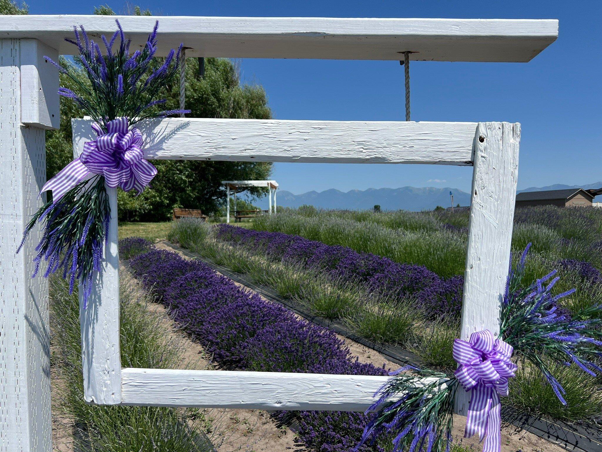 Photo by elizabethhV2014UC