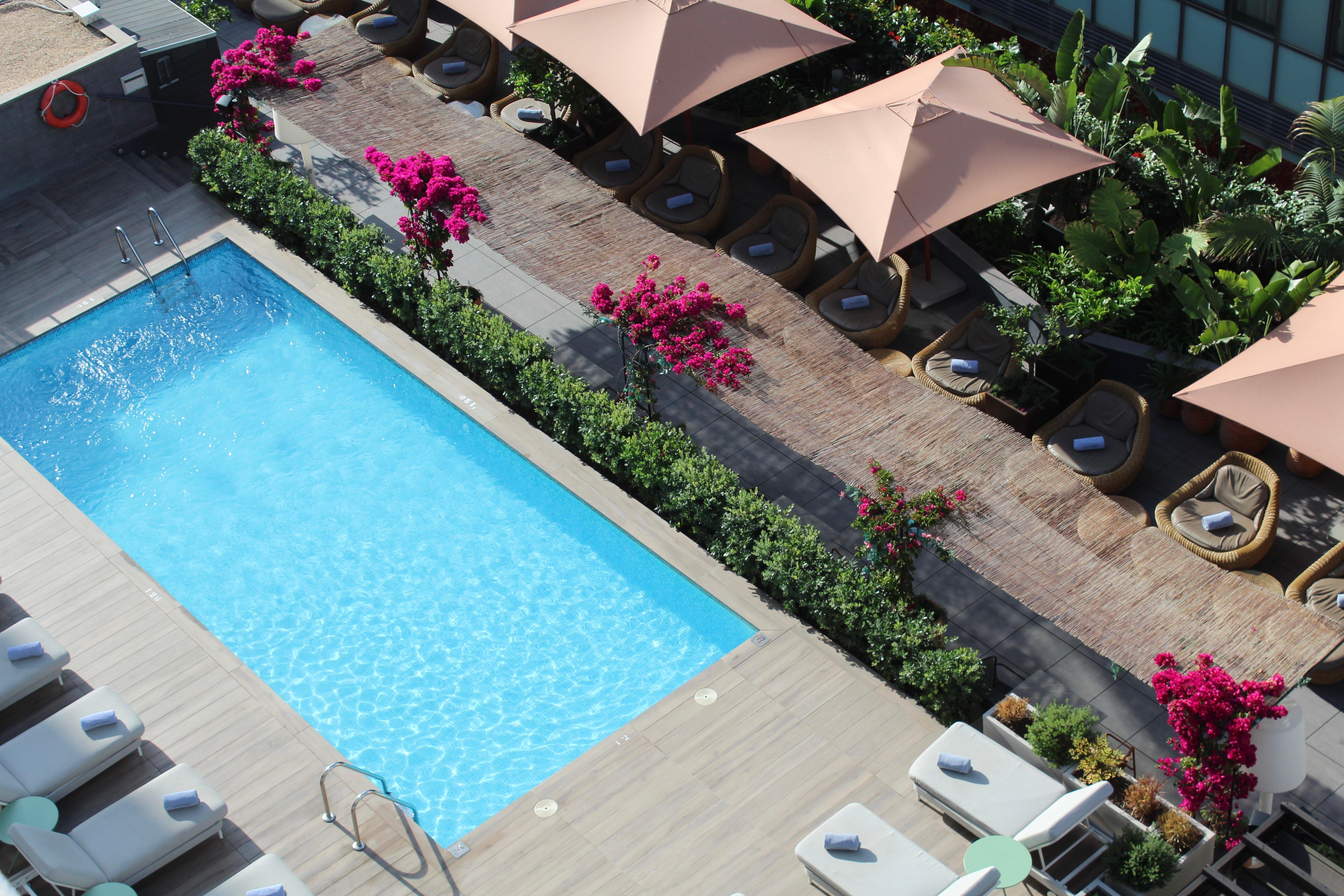 La Terrassa De Pelai