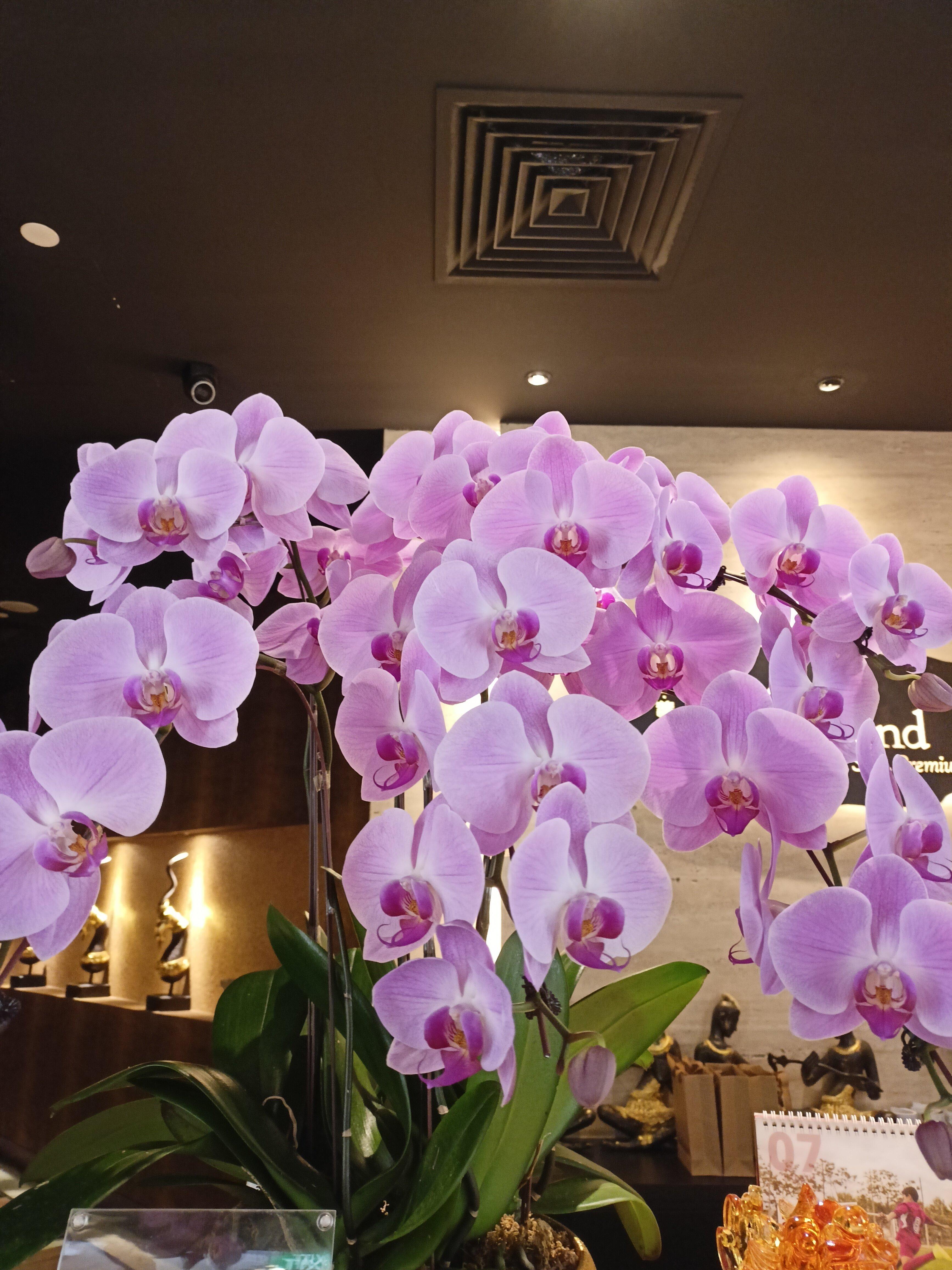 Photo by Wander20610933641