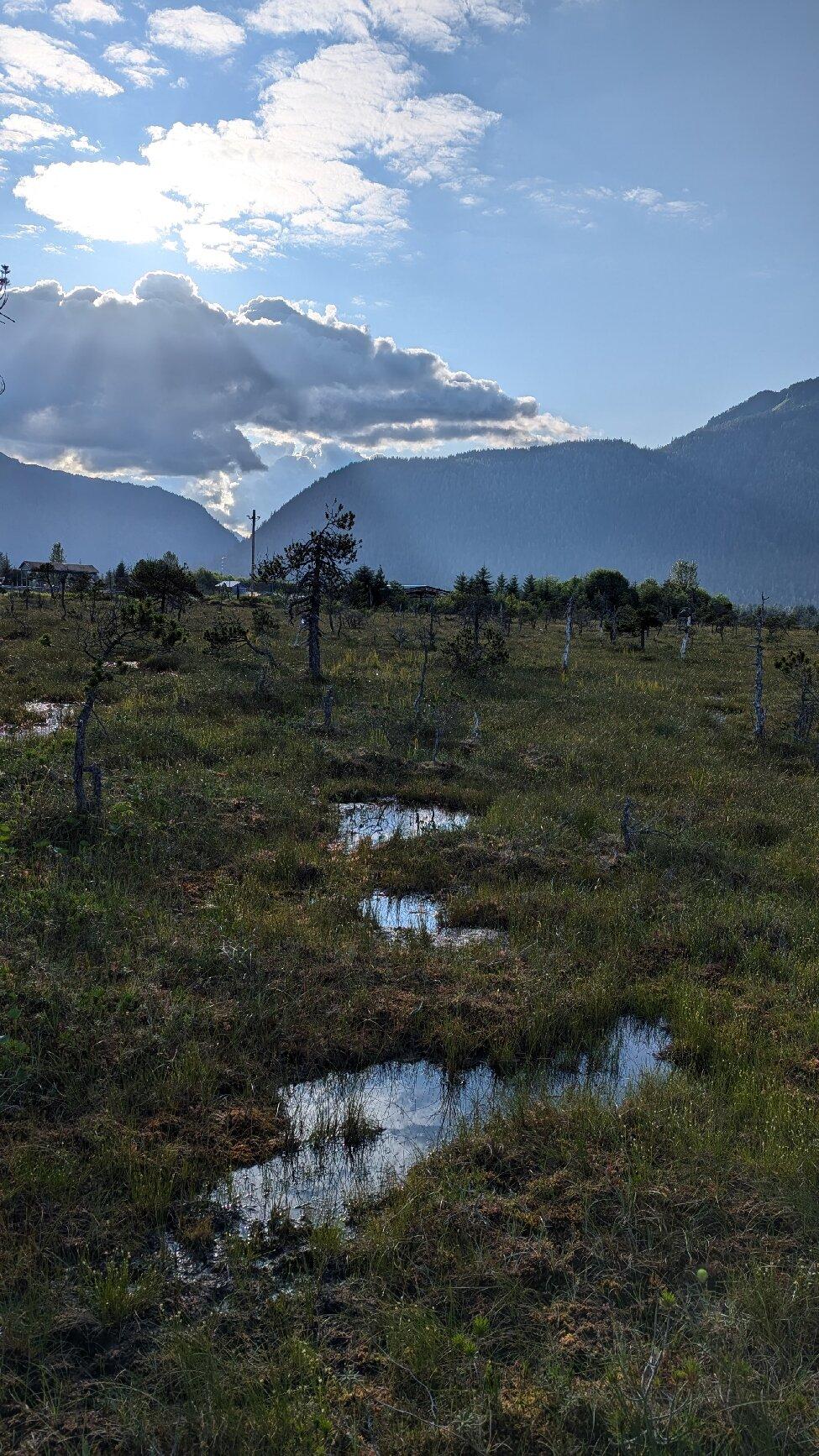Petersburg Boardwalk Nature Trail