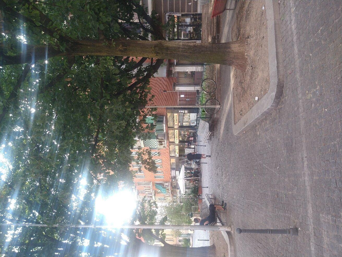 Photo by Raffaella T