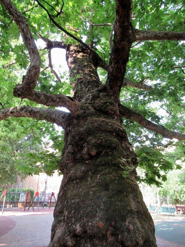 Giardino Roberto Bazlen e Luciano Foà